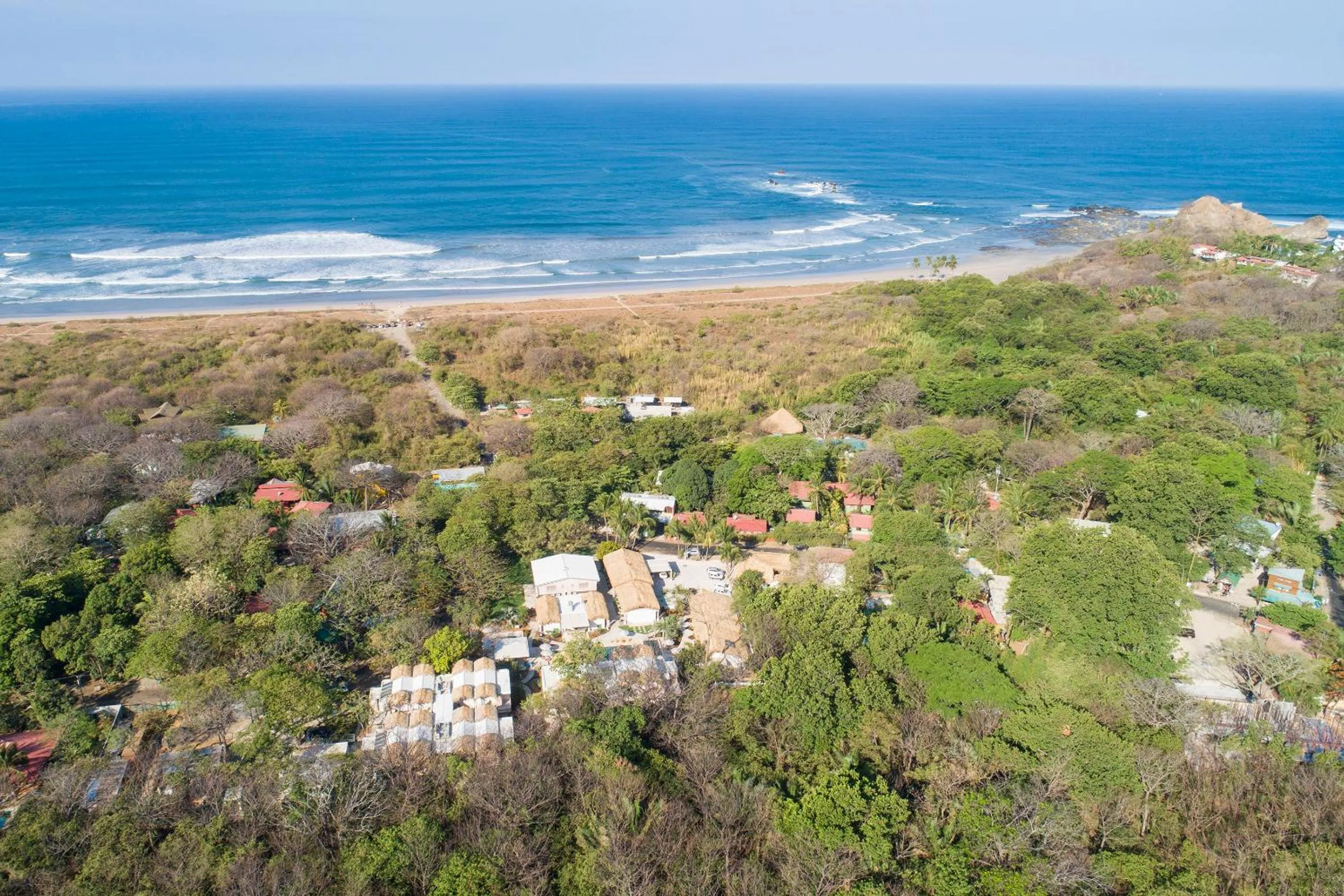 Neighbourhood in The Gilded Iguana