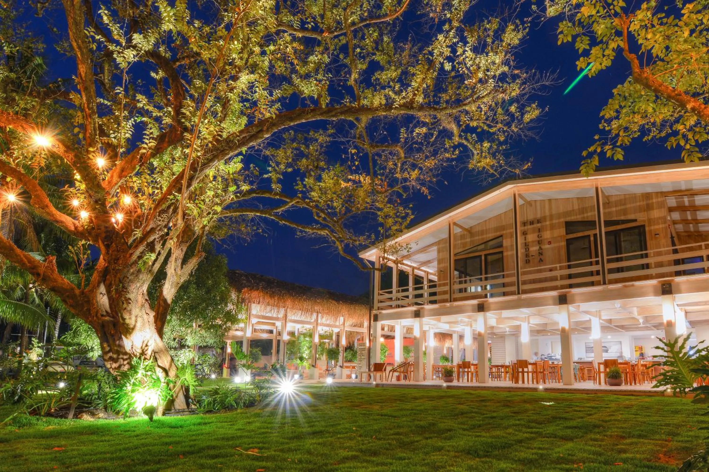 Restaurant/places to eat in The Gilded Iguana