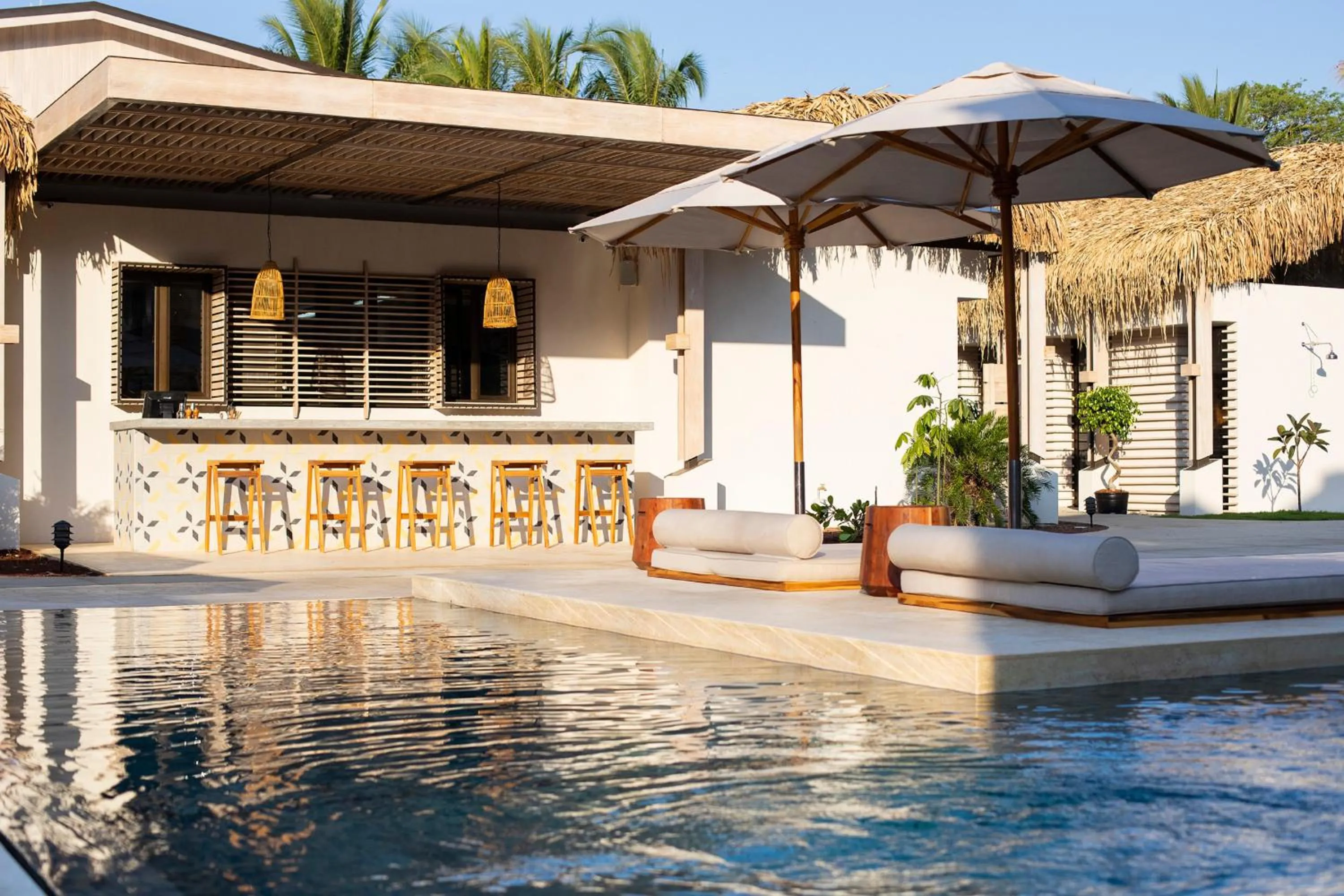 Day in The Gilded Iguana