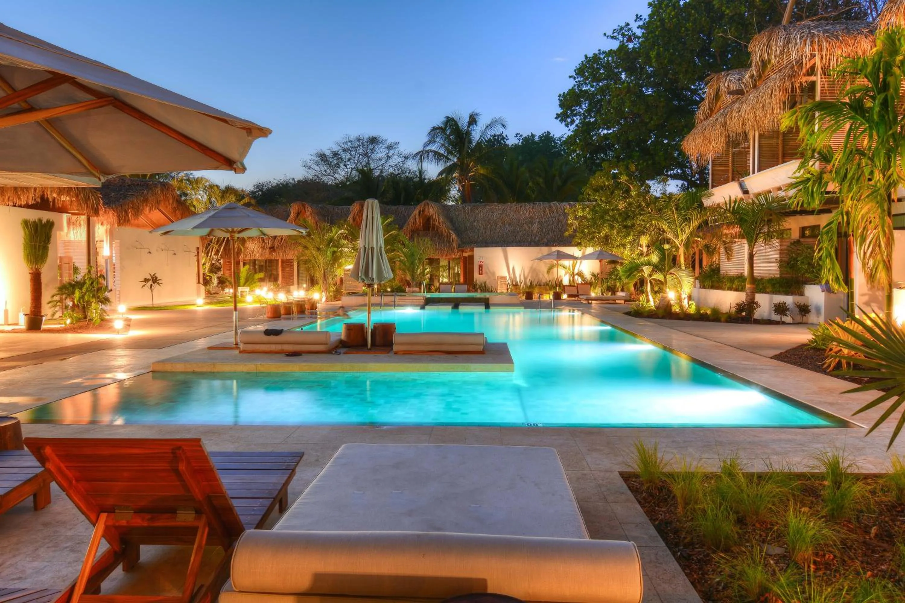 Garden in The Gilded Iguana