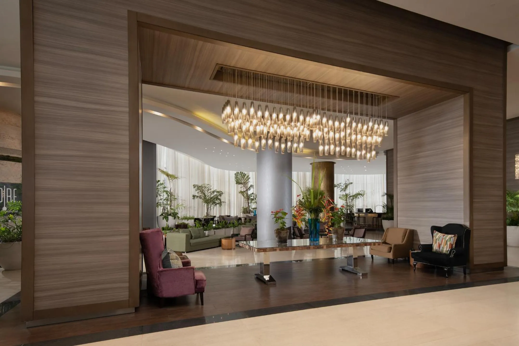 Seating area in Embassy Suites by Hilton Santo Domingo