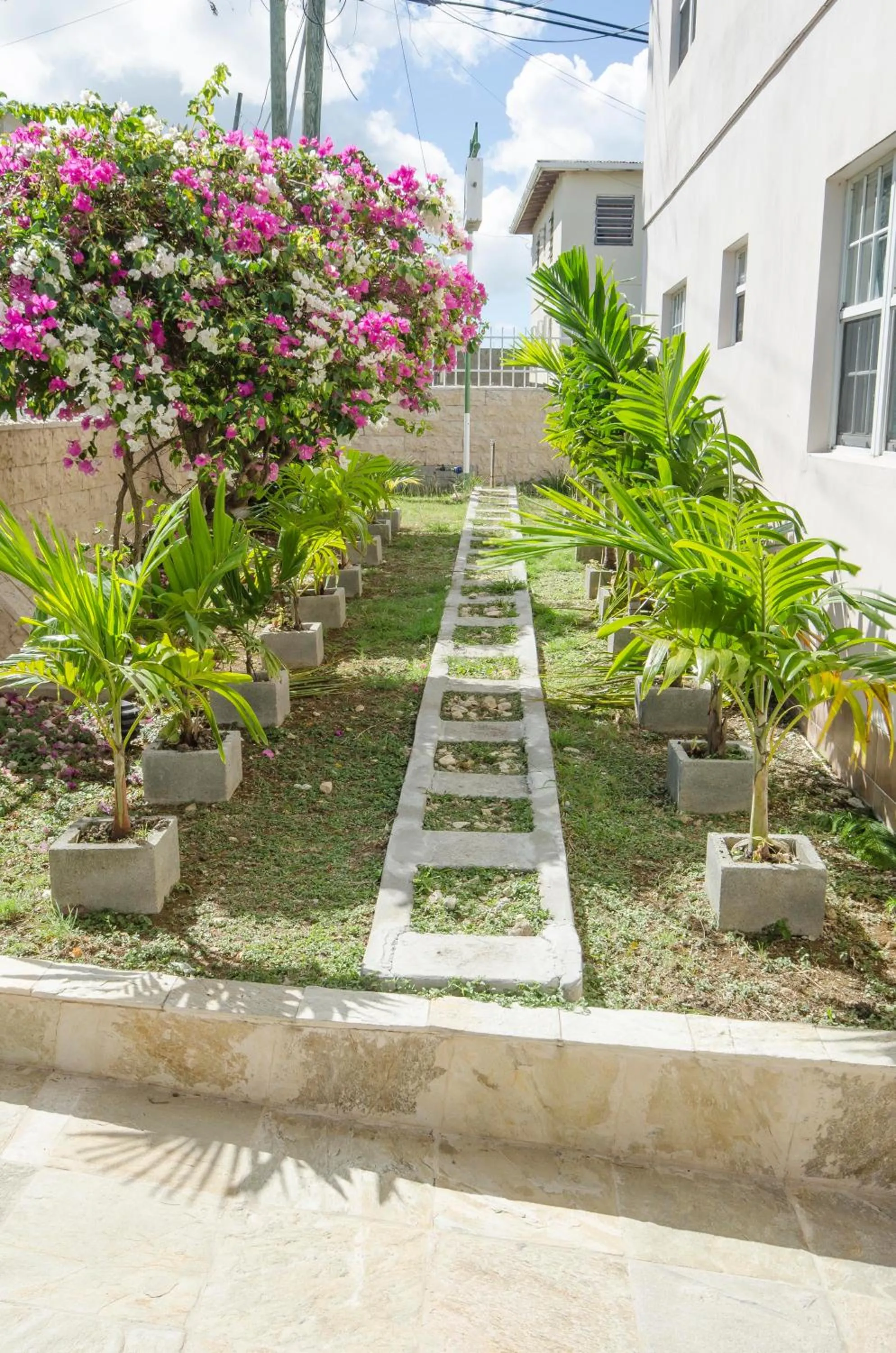 Garden in Caribbean Inn and Suites