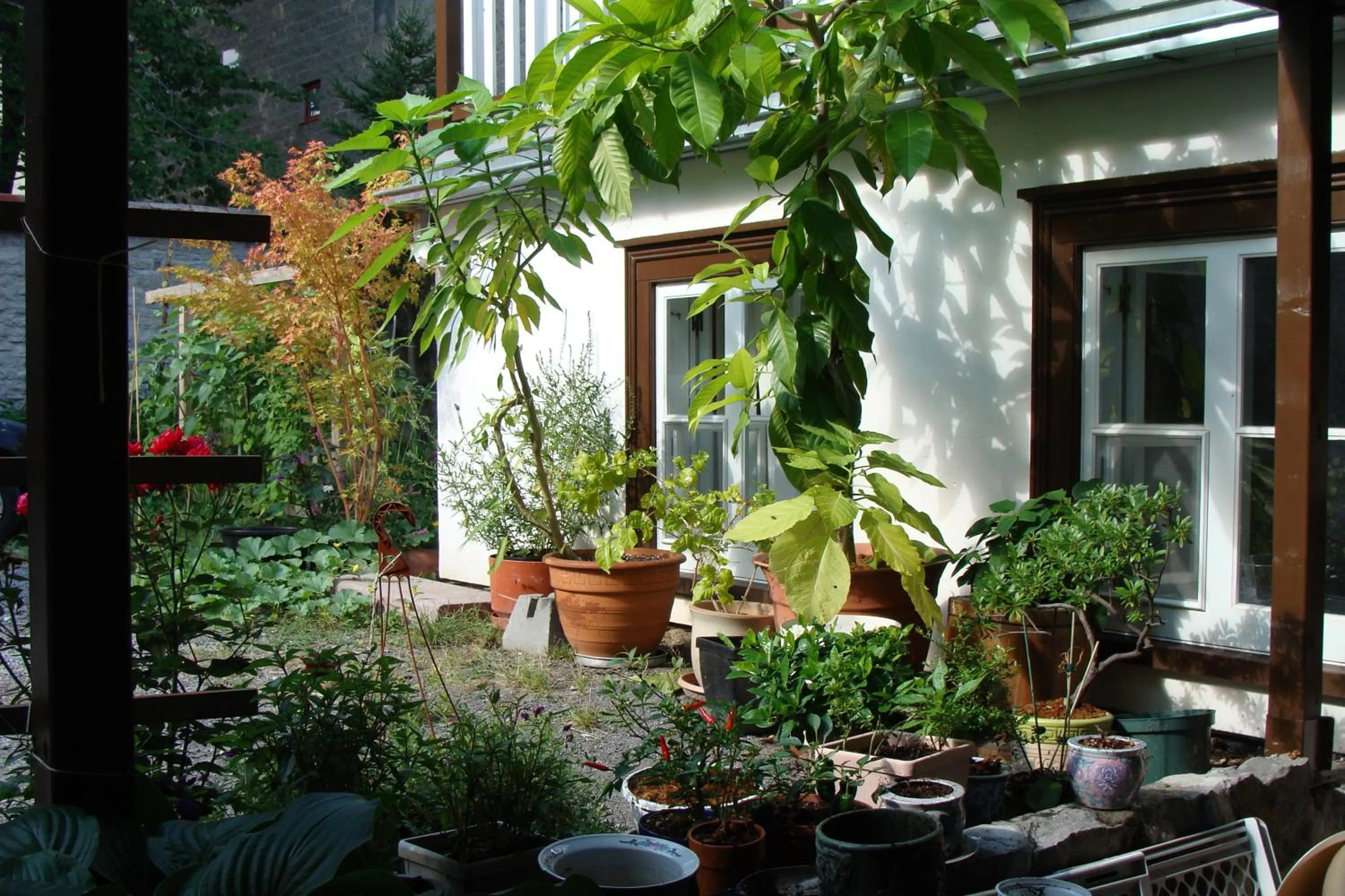 Garden in Au Petit Hôtel