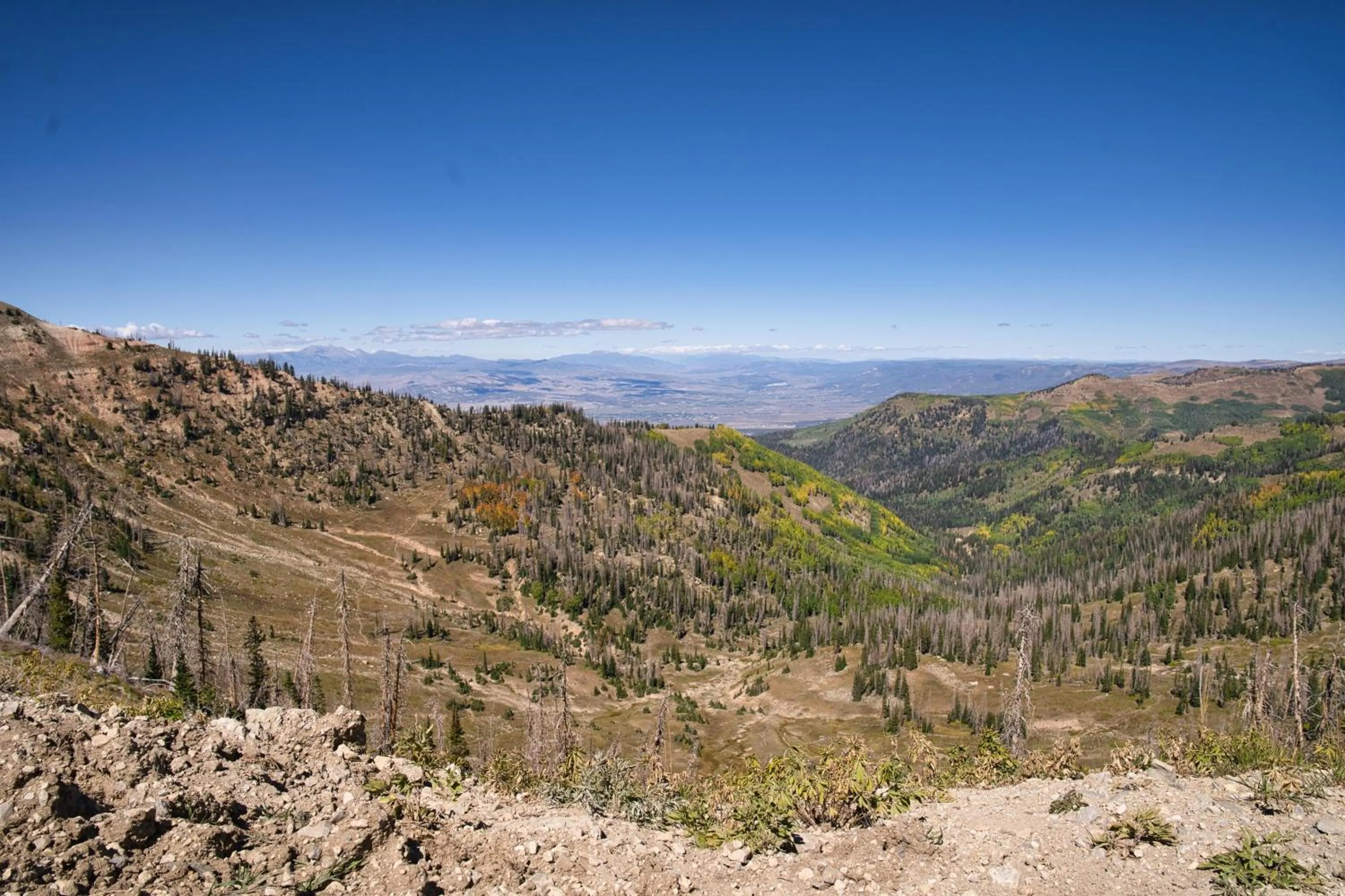 Other in Eagles Roost - The Nest #11 at Wind Walker Homestead