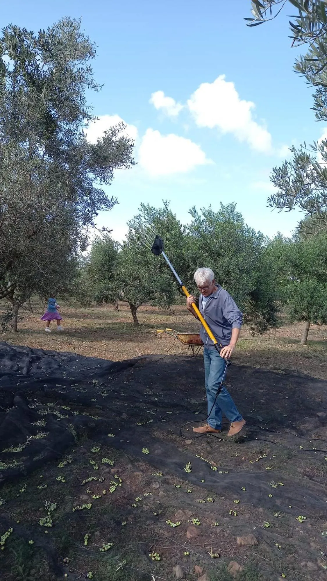 Garden in Sa Carrotja - Adults Only