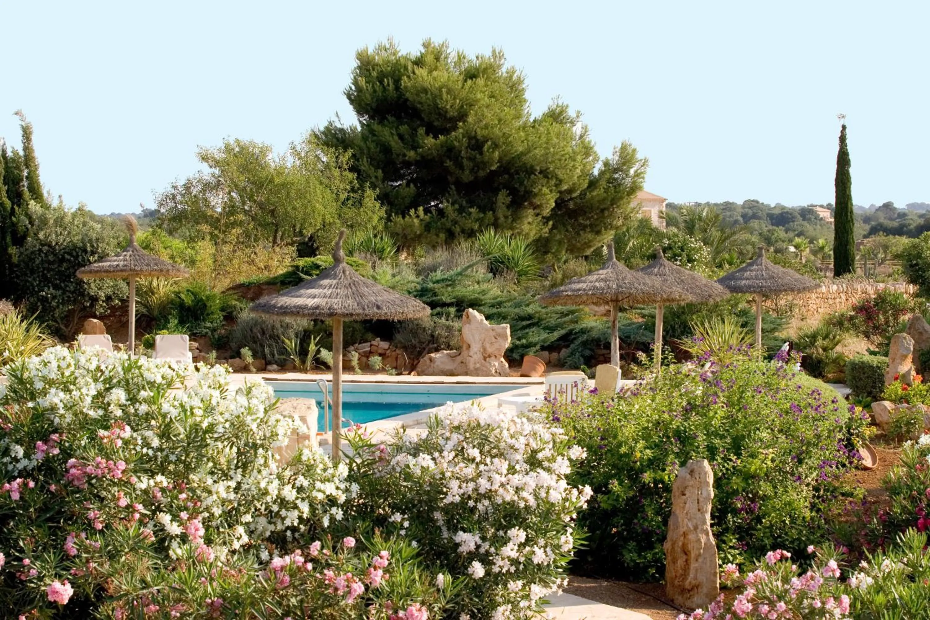 Garden in Sa Carrotja - Adults Only