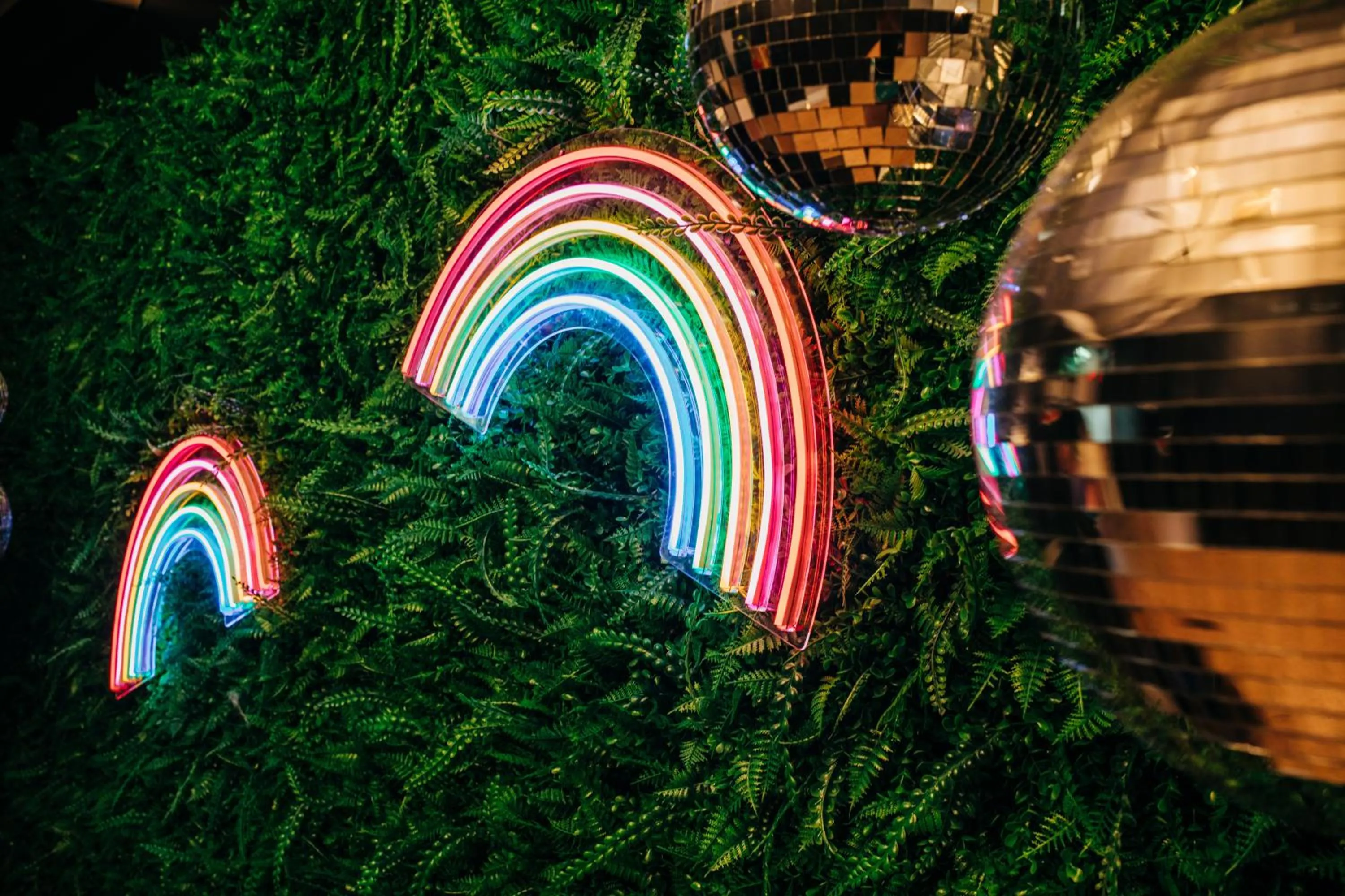 Night in Stellar Suites