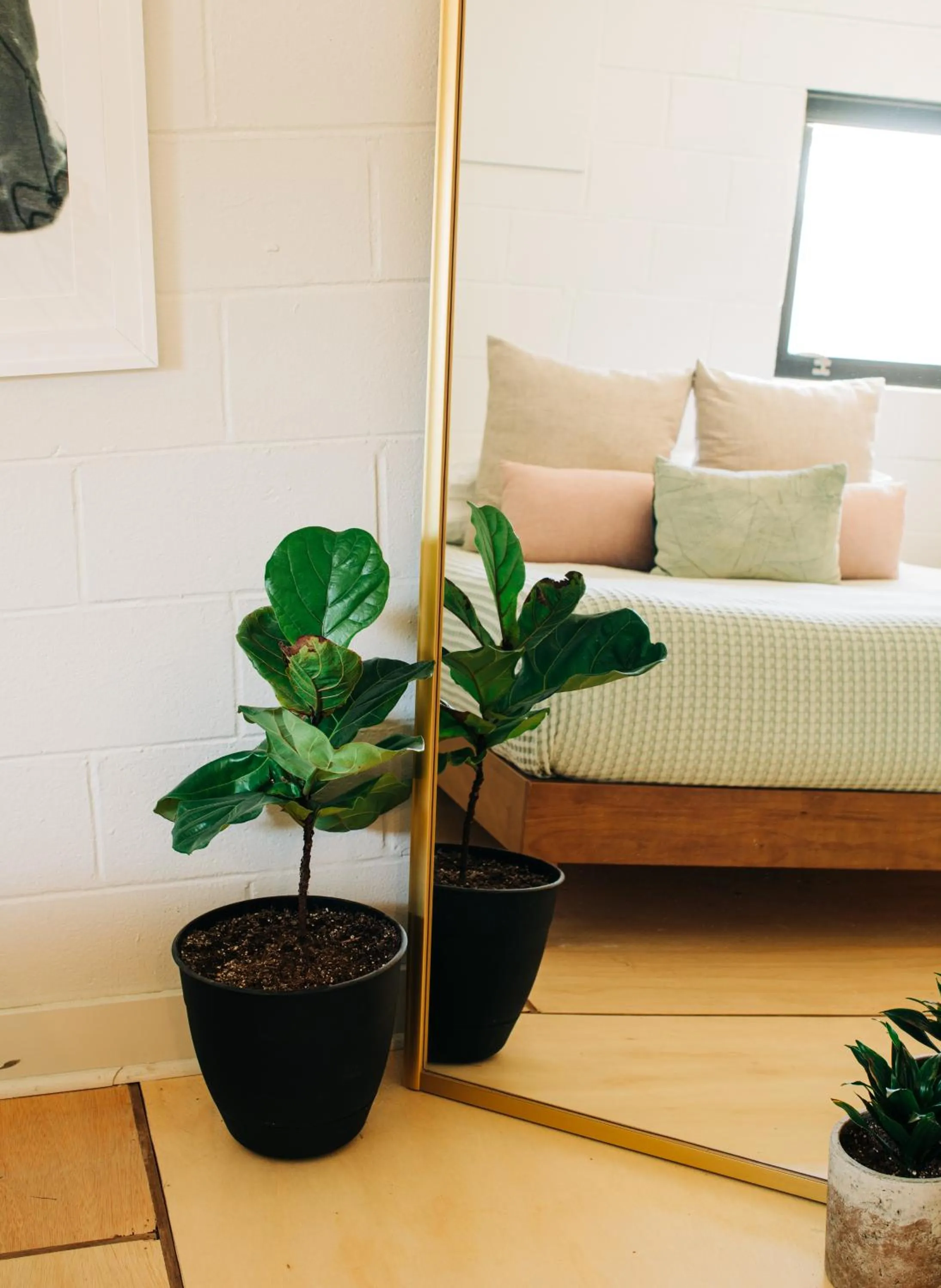 Bed in Stellar Suites