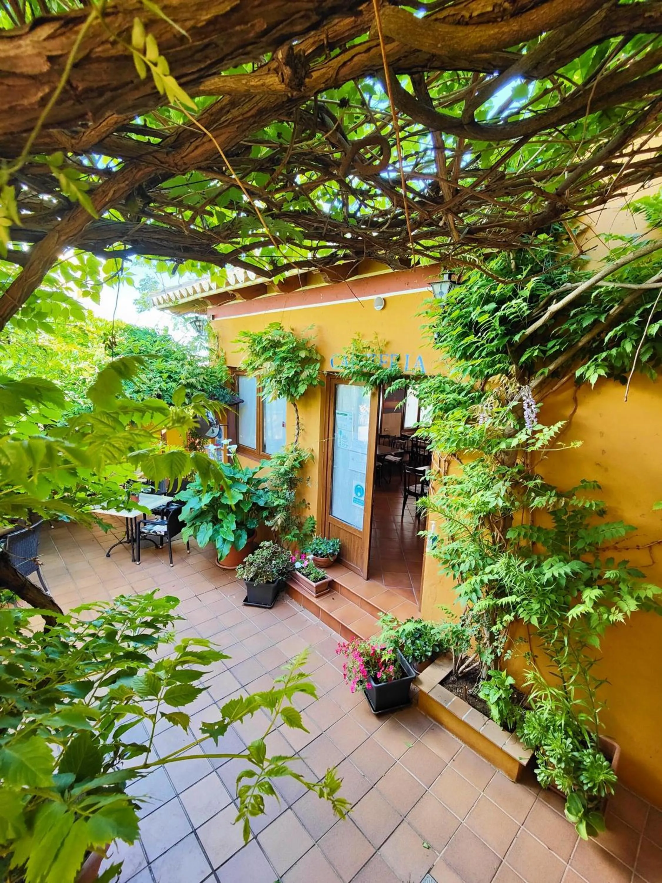 Lounge or bar in Hotel Doñana Blues