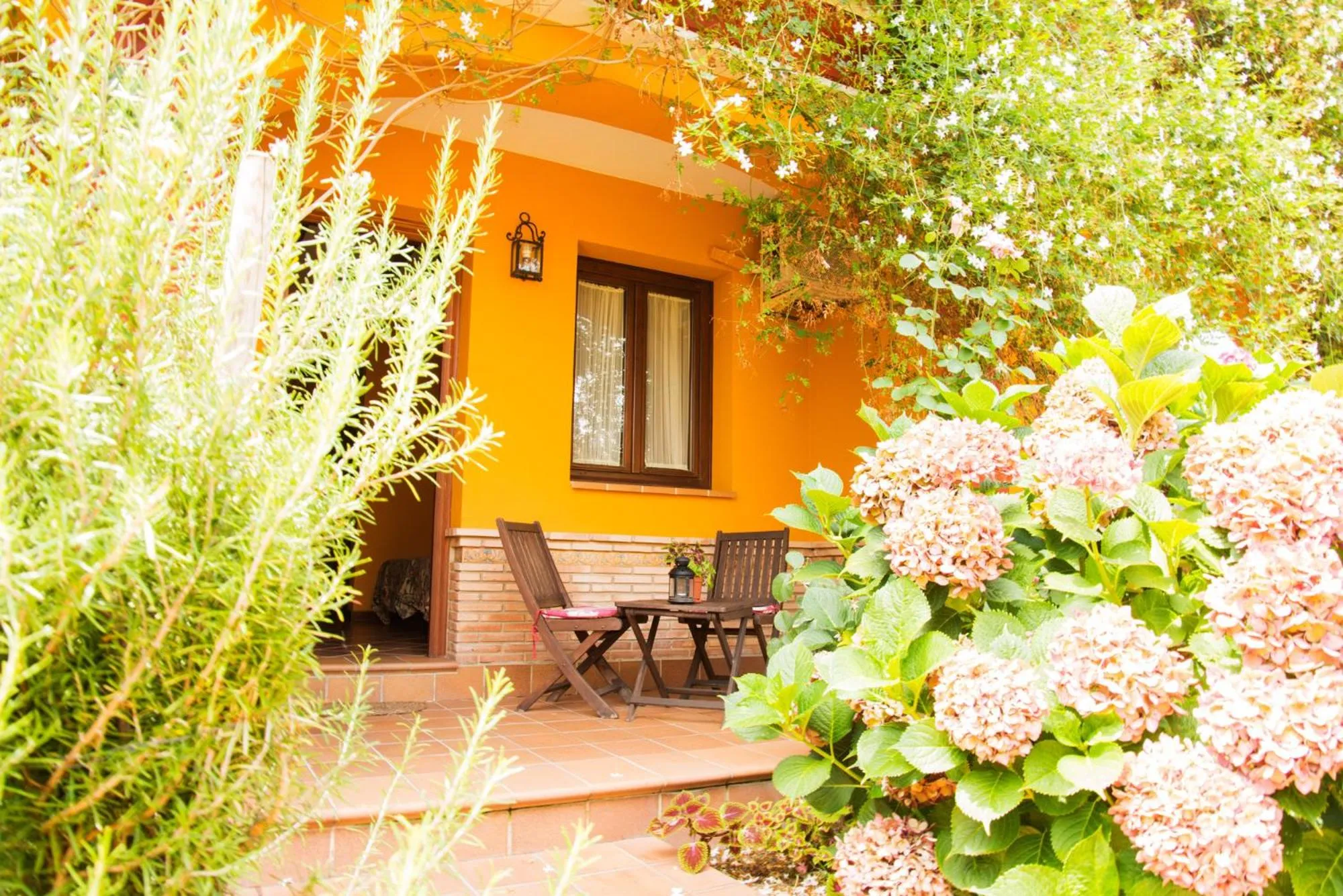 Patio in Hotel Doñana Blues