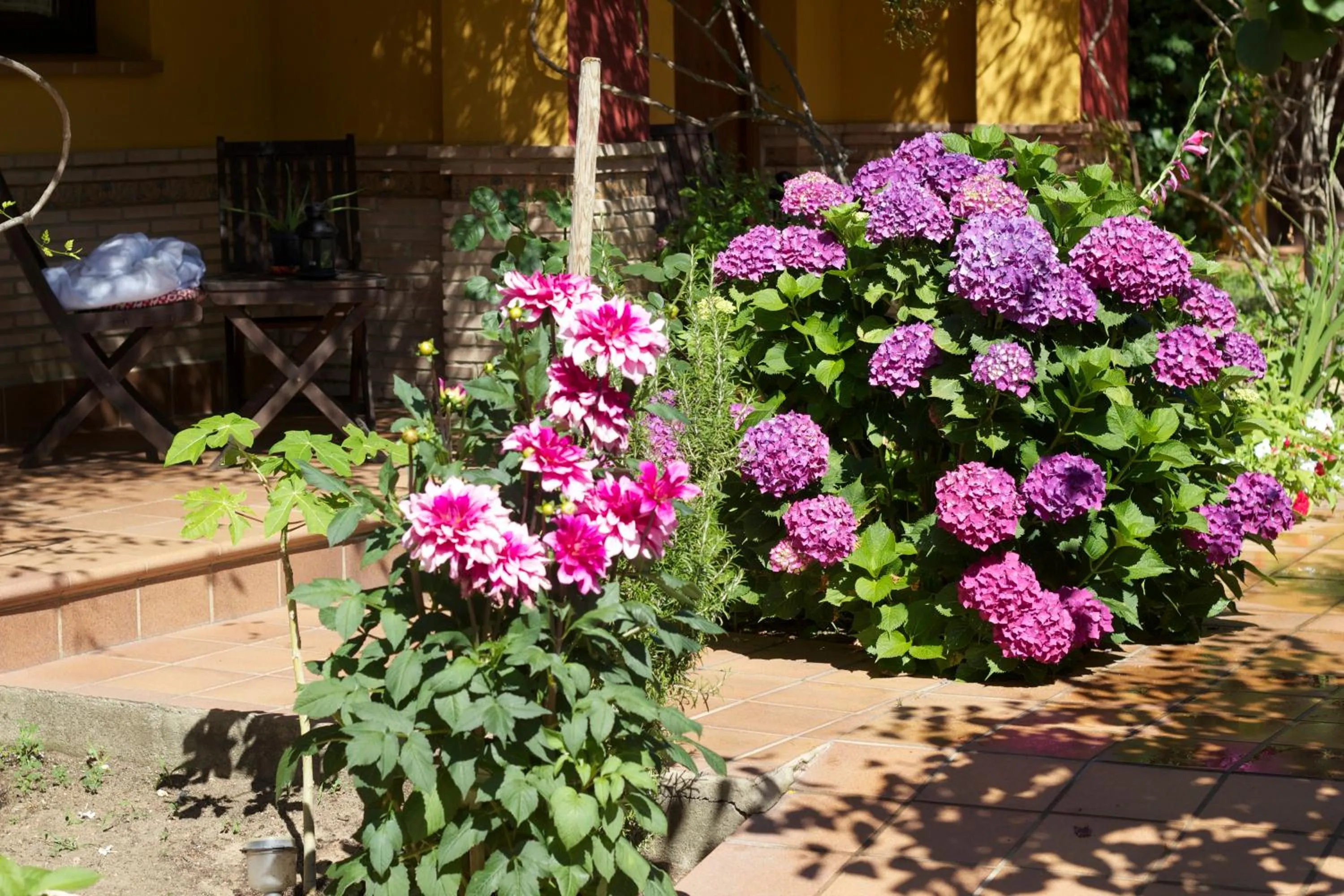 Garden in Hotel Doñana Blues