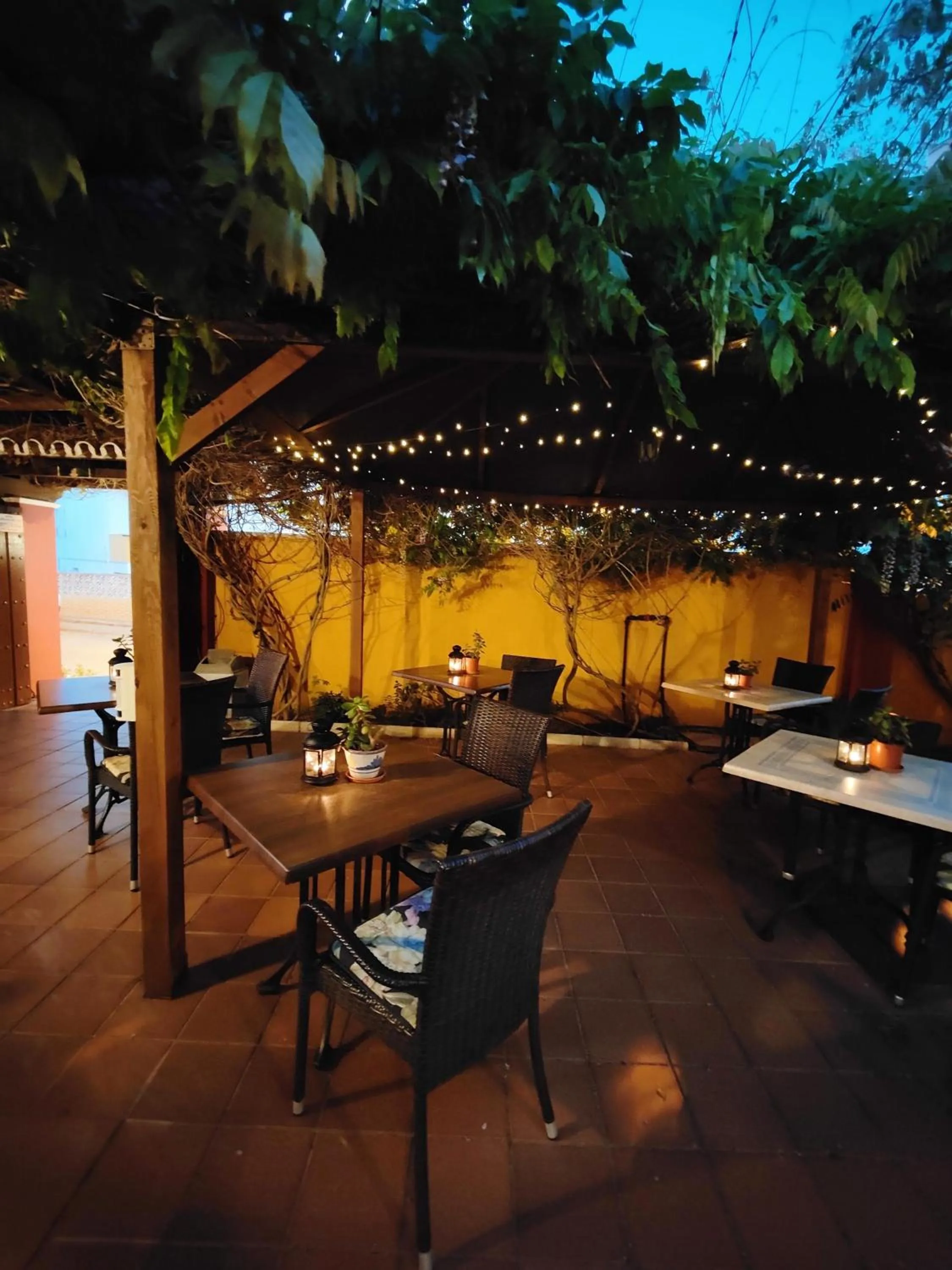 Lounge or bar in Hotel Doñana Blues