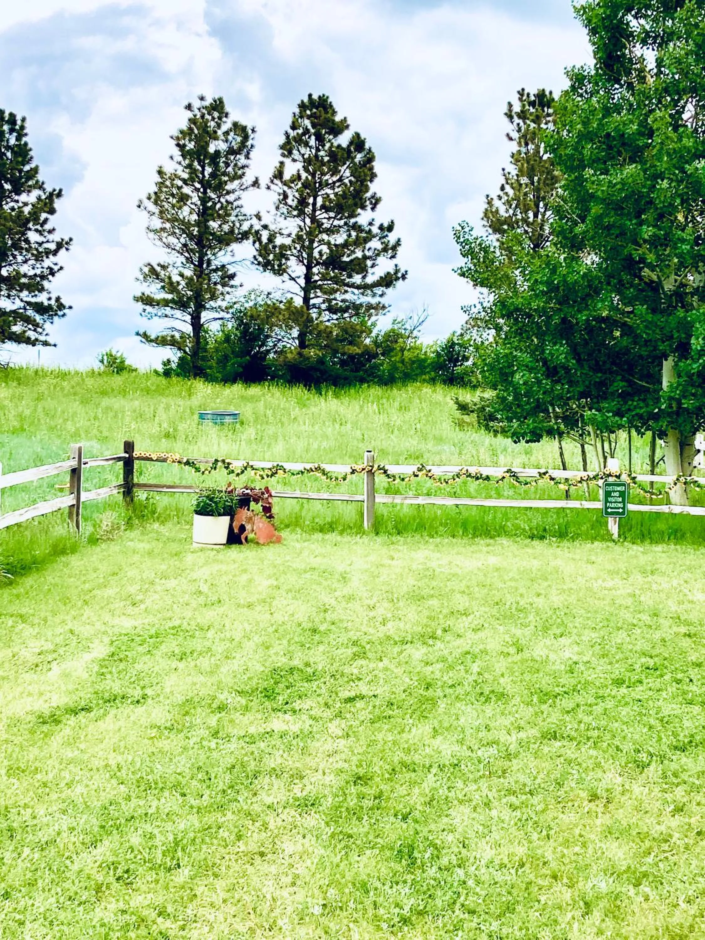 Yellowstone Cattle Baron EnSuite, Private Entrance & Parking - Prairie Rose B&B