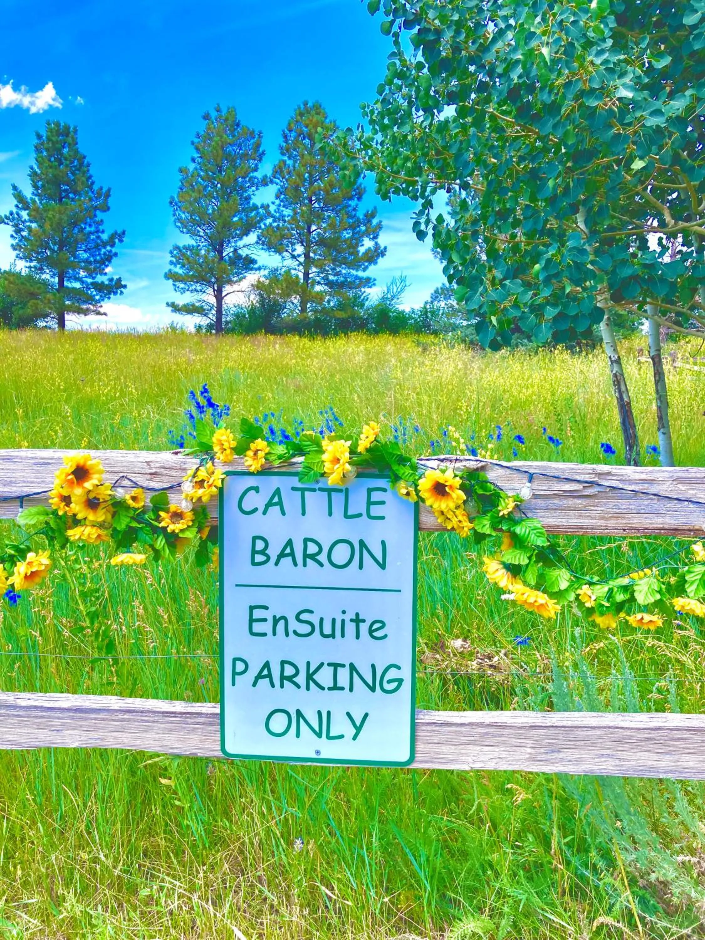 Parking in Yellowstone Cattle Baron EnSuite, Private Entrance & Parking - Prairie Rose B&B