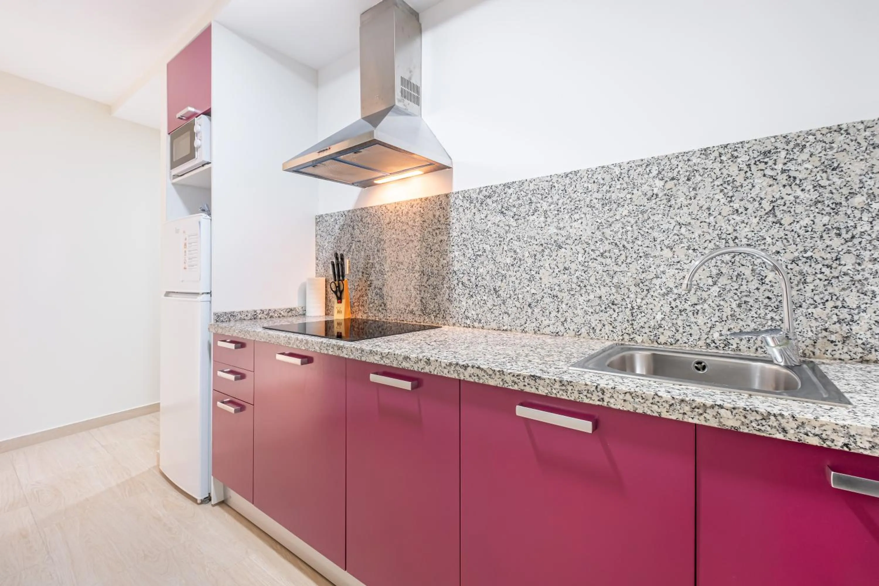 Kitchen or kitchenette in Apartamentos La Rosita Old Town