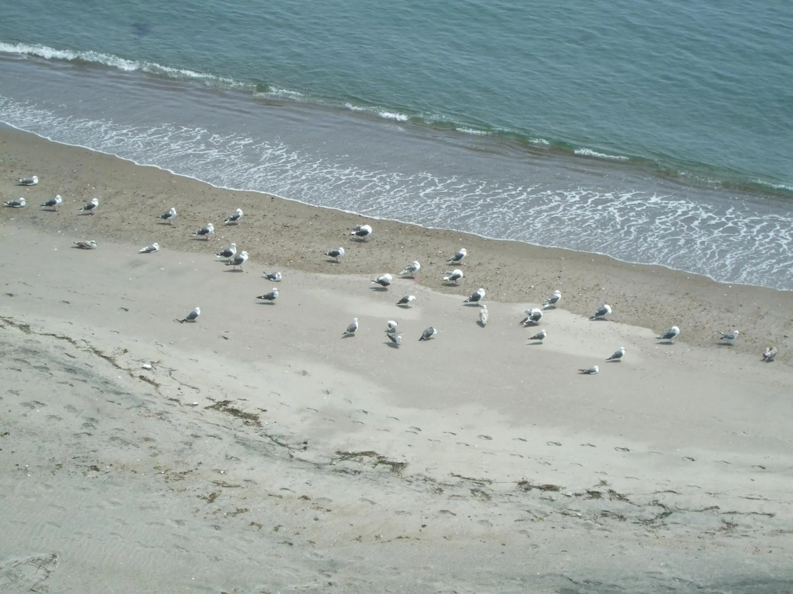 Beach in Seaside Hotel Kamome