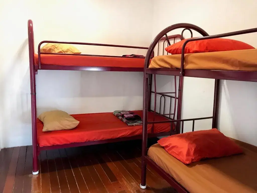 Bunk Bed in Female Dormitory Room in QuiikCat Bunk Bed in Female Dormitory Room in QuiikCat