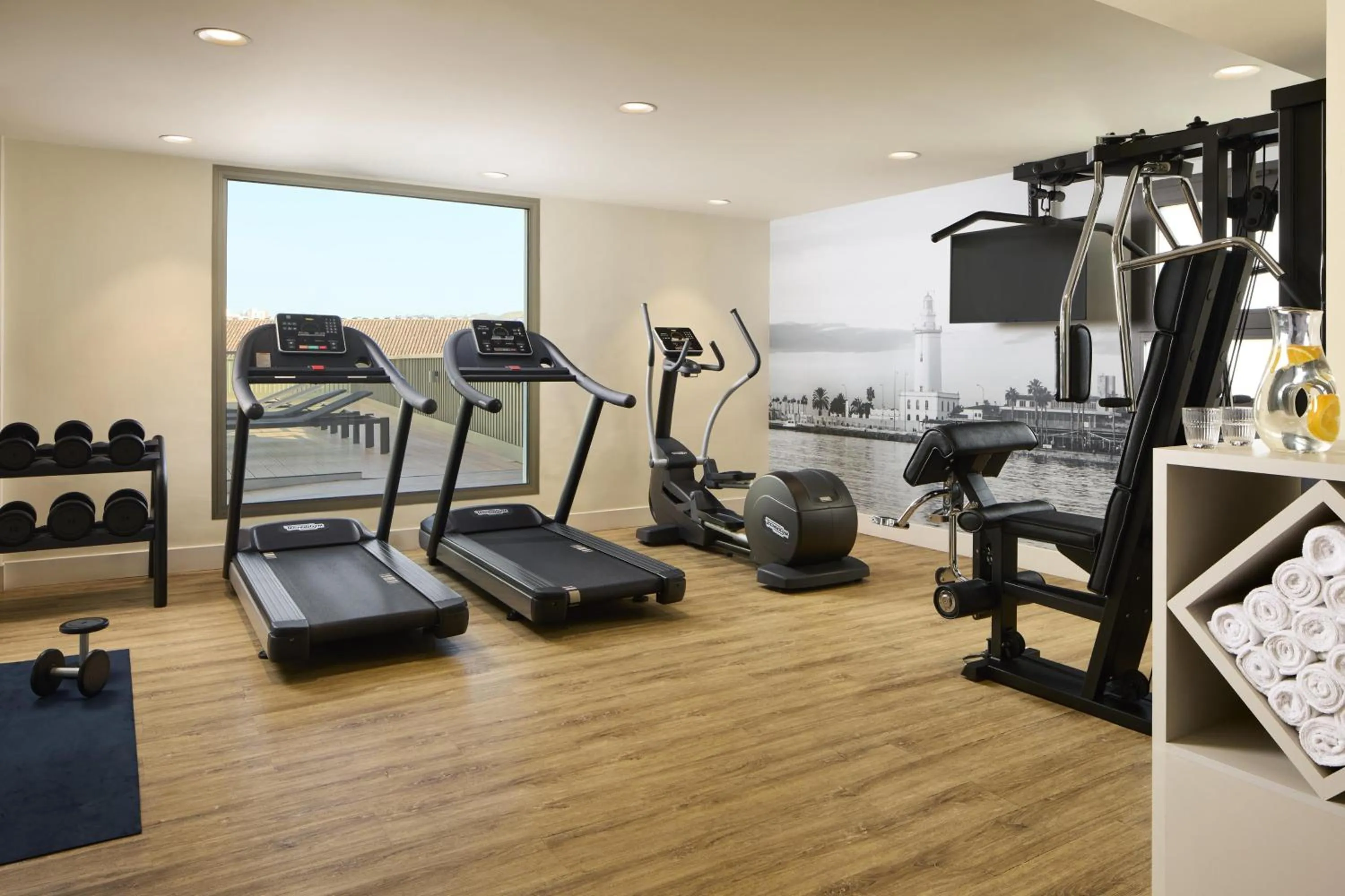 Fitness centre/facilities in NH Málaga