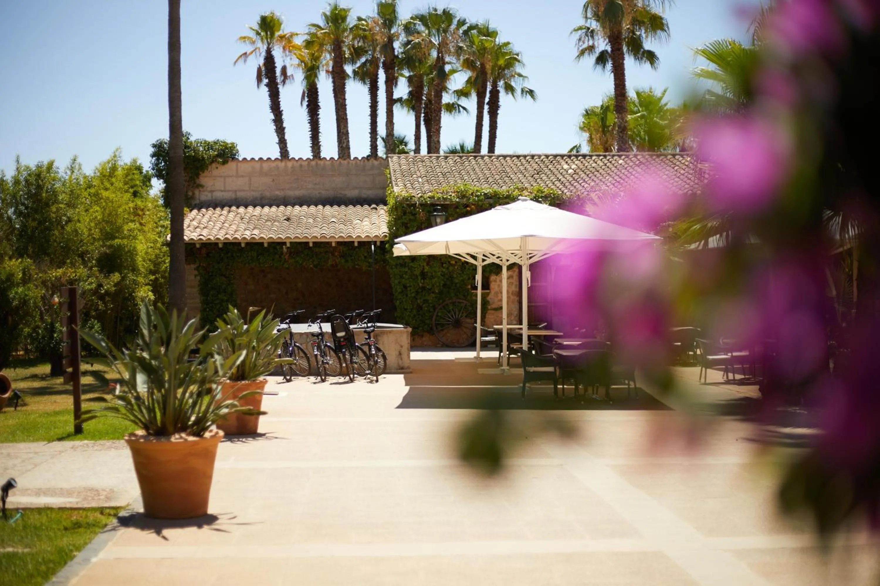 Balcony/Terrace in Virrey Finca Hotel