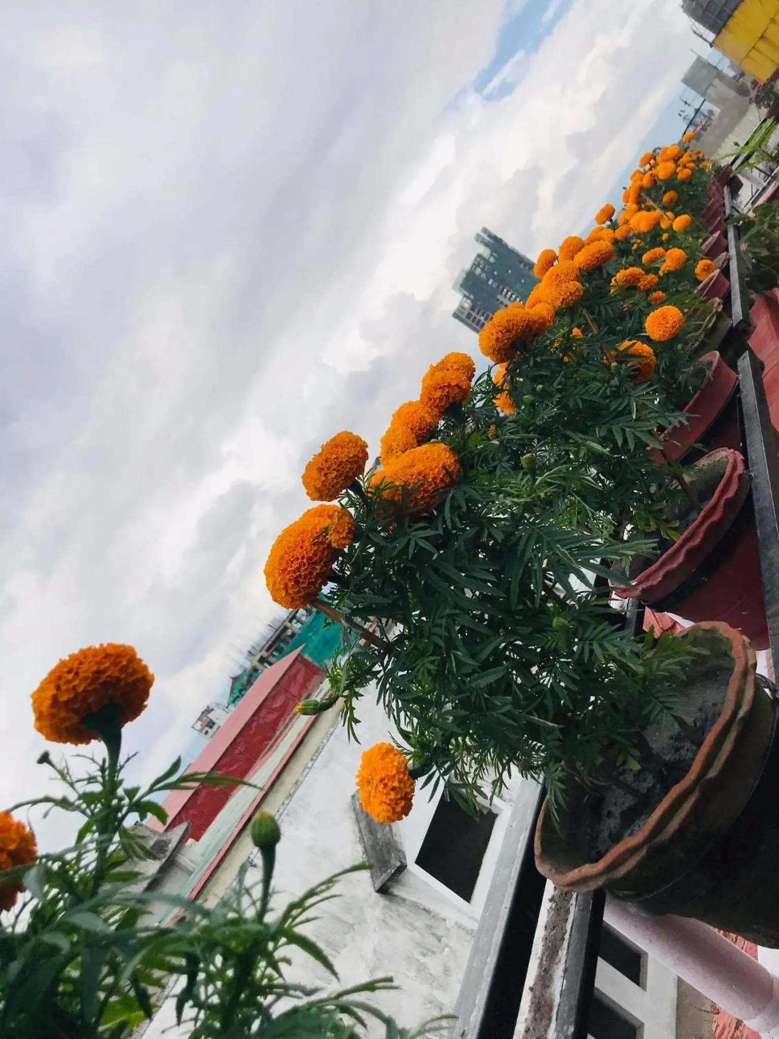 Restaurant/places to eat in Hotel Mudkhu Durbar