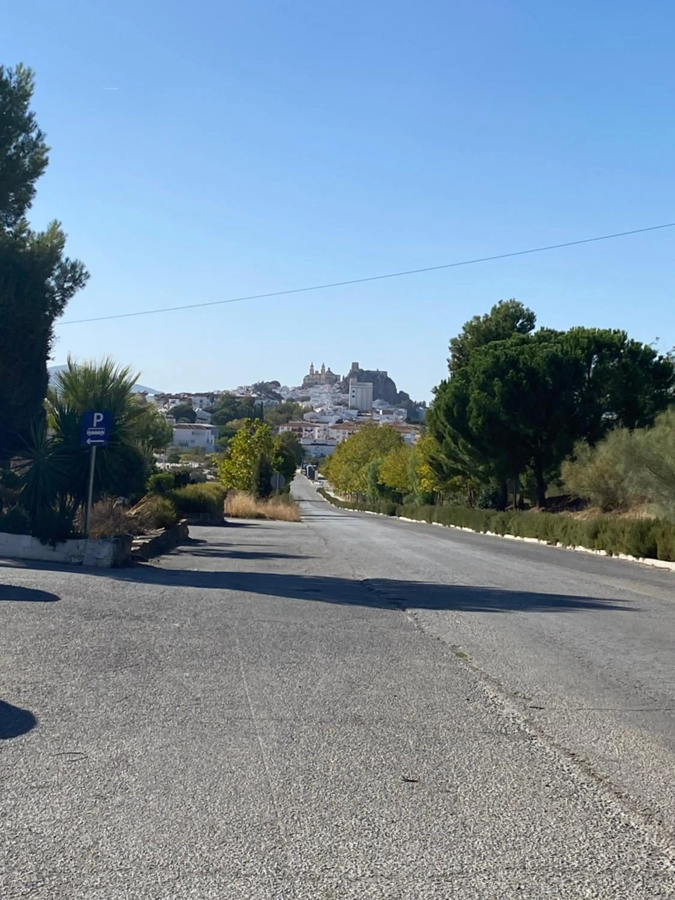 Hotel Meson Fuente del Pino