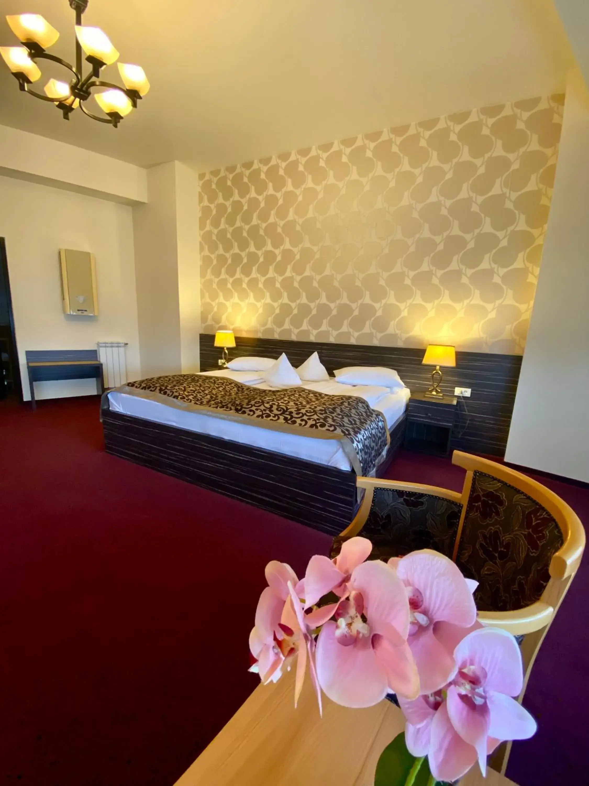 Deluxe Apartment in Pensiunea Rix Rooms Deluxe Apartment in Pensiunea Rix Rooms