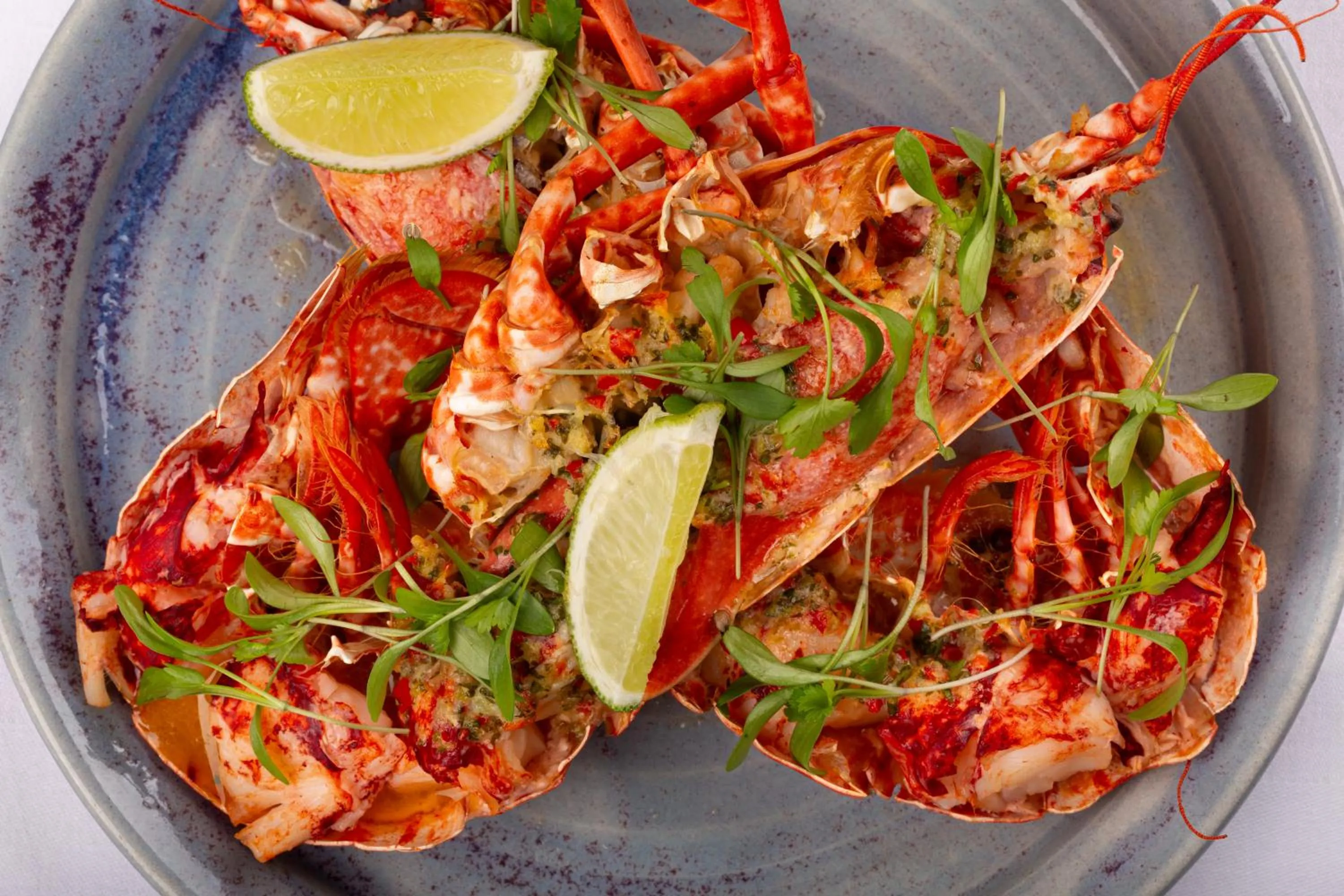 Restaurant/places to eat in Glenapp Castle