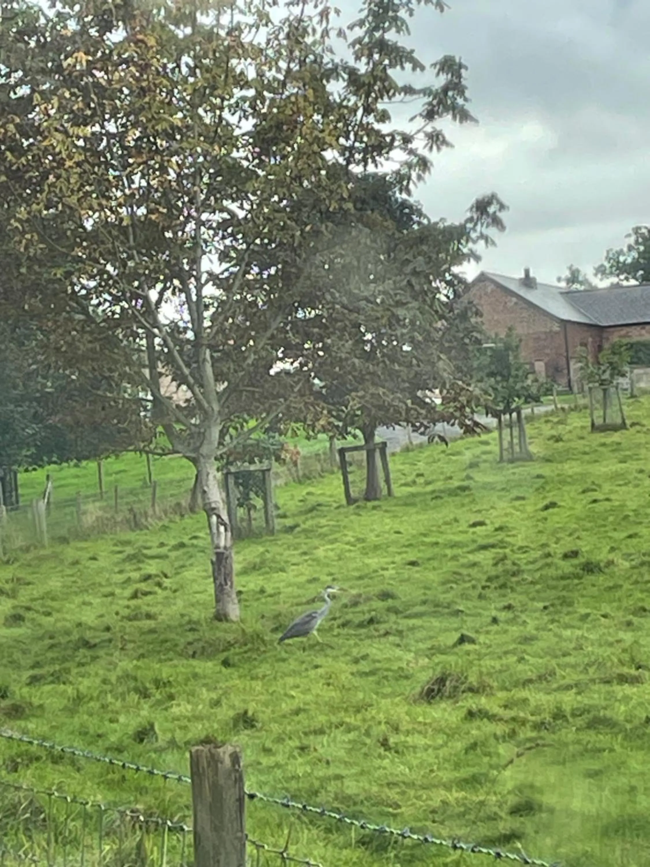 Oakenholt Farm Bed and Breakfast