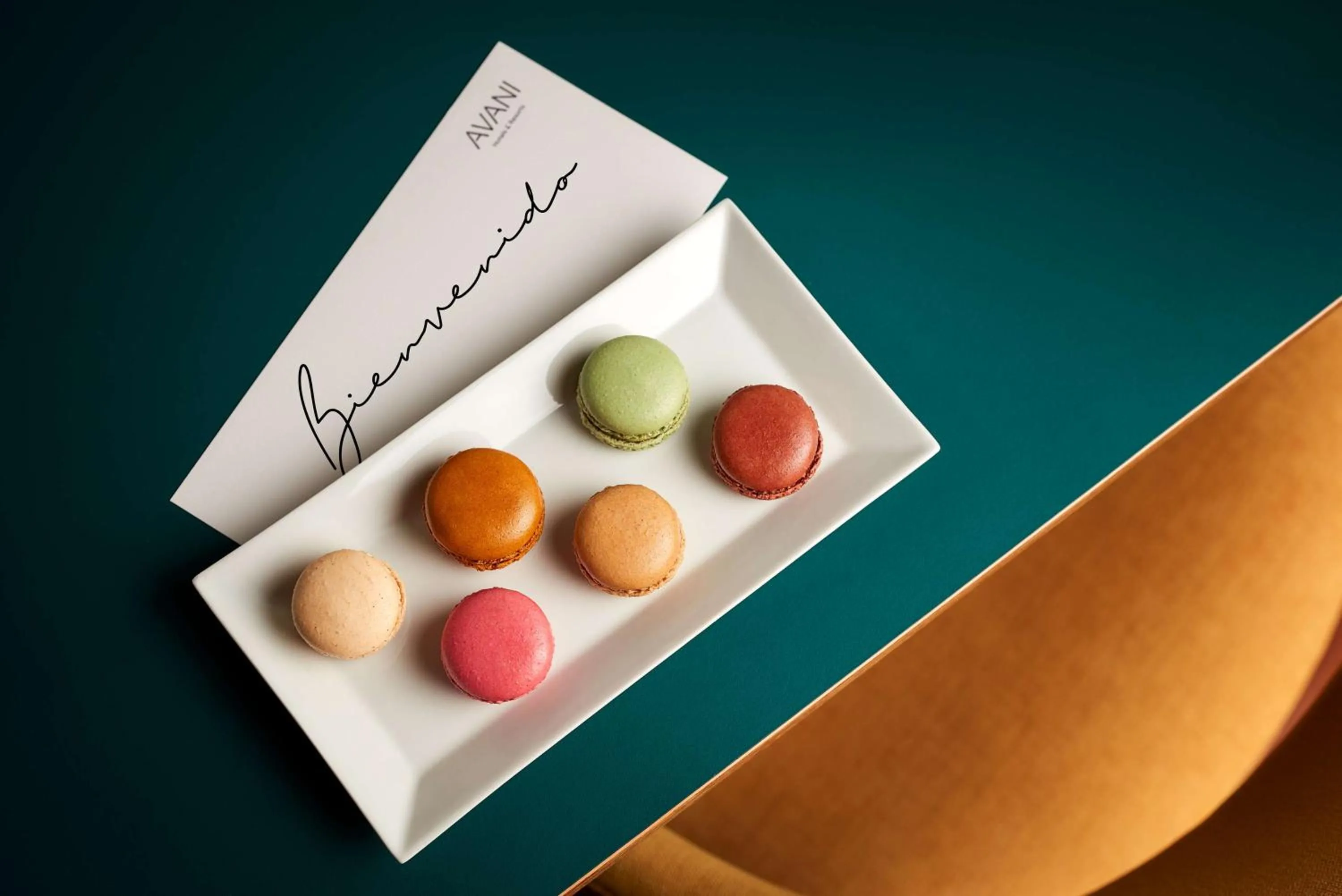 Other in Avani Alonso Martinez