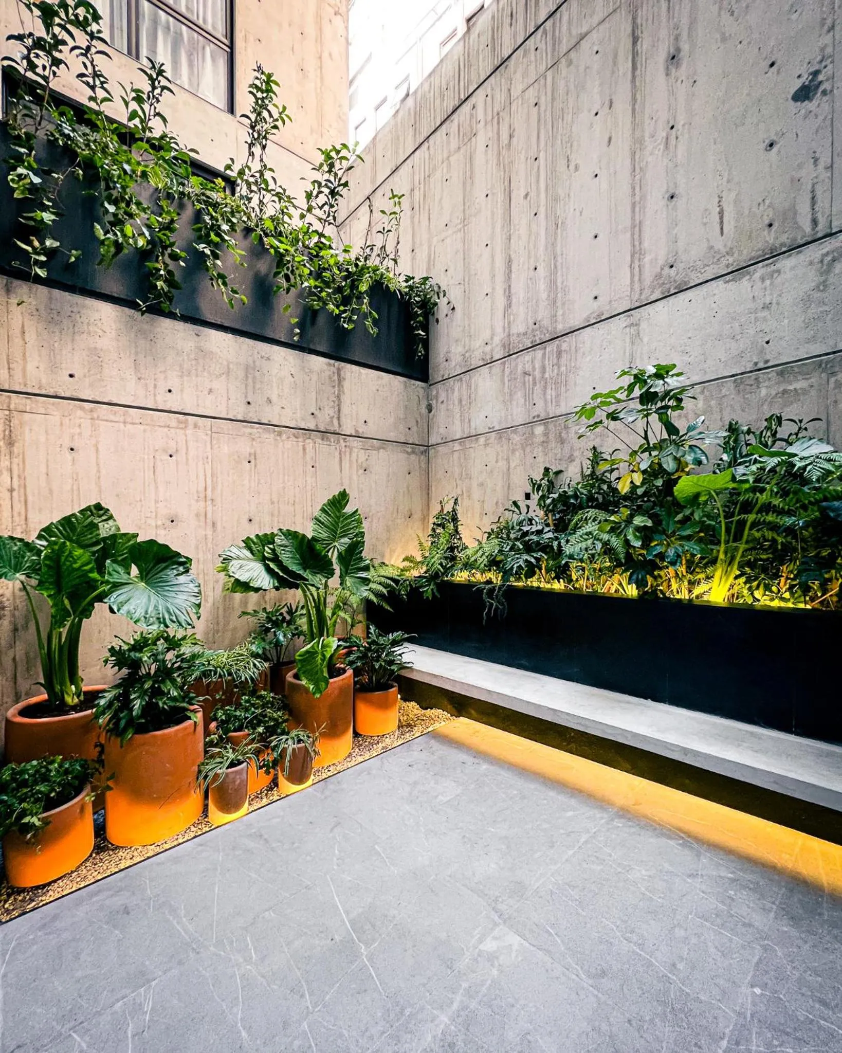 Balcony/Terrace in Ana Polanco Apartments