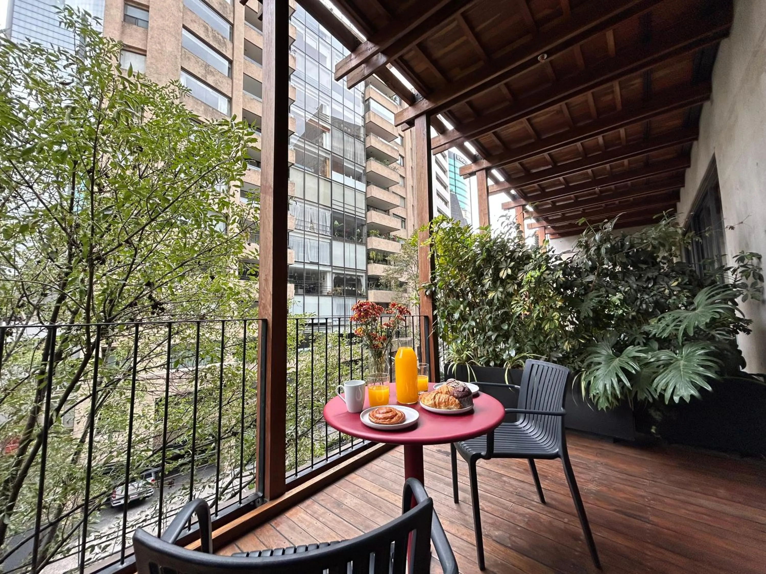 Balcony/Terrace in Ana Polanco Apartments