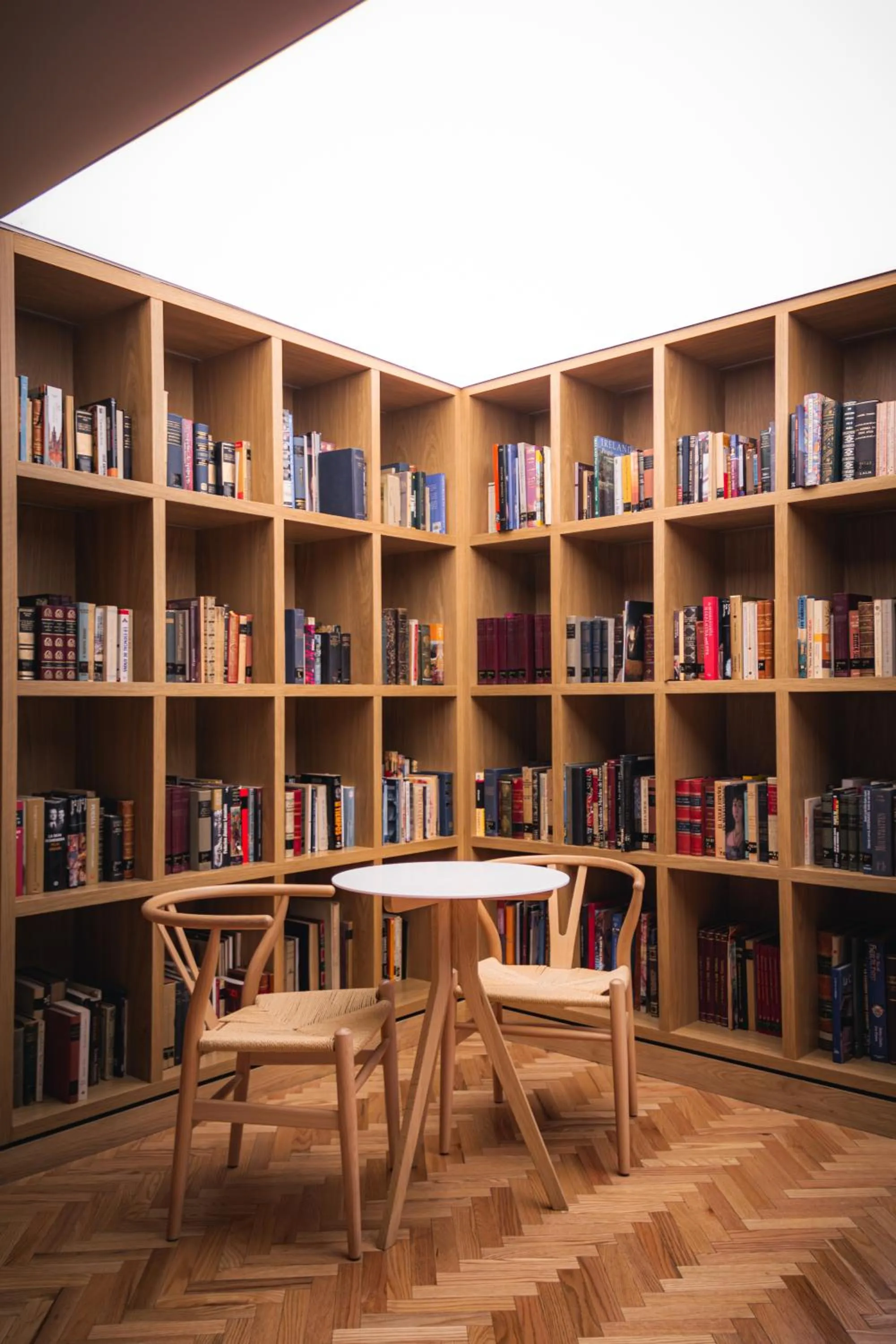 Library in Ana Polanco Apartments