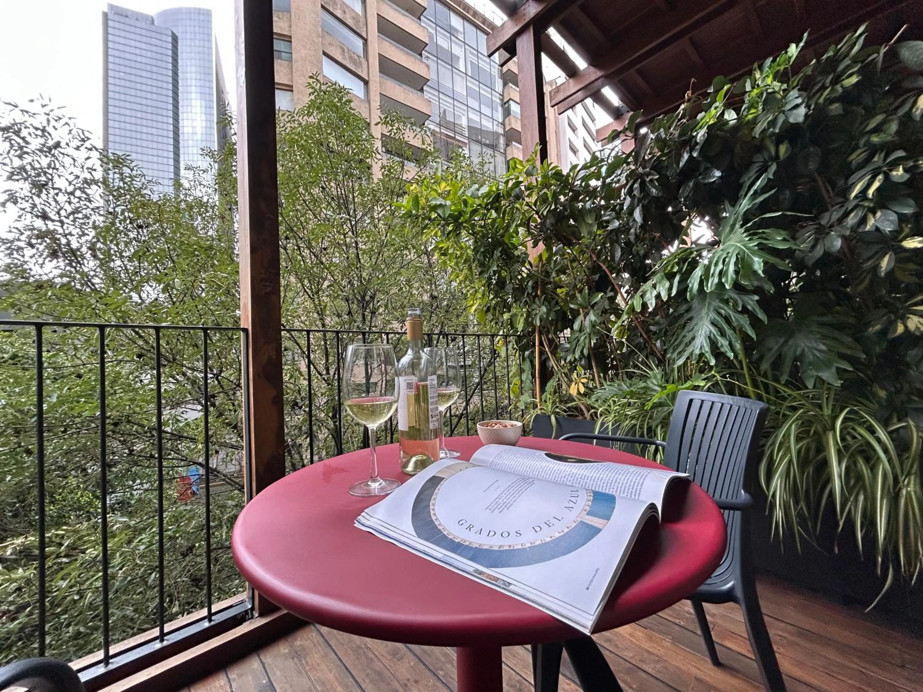 Balcony/Terrace in Ana Polanco Apartments