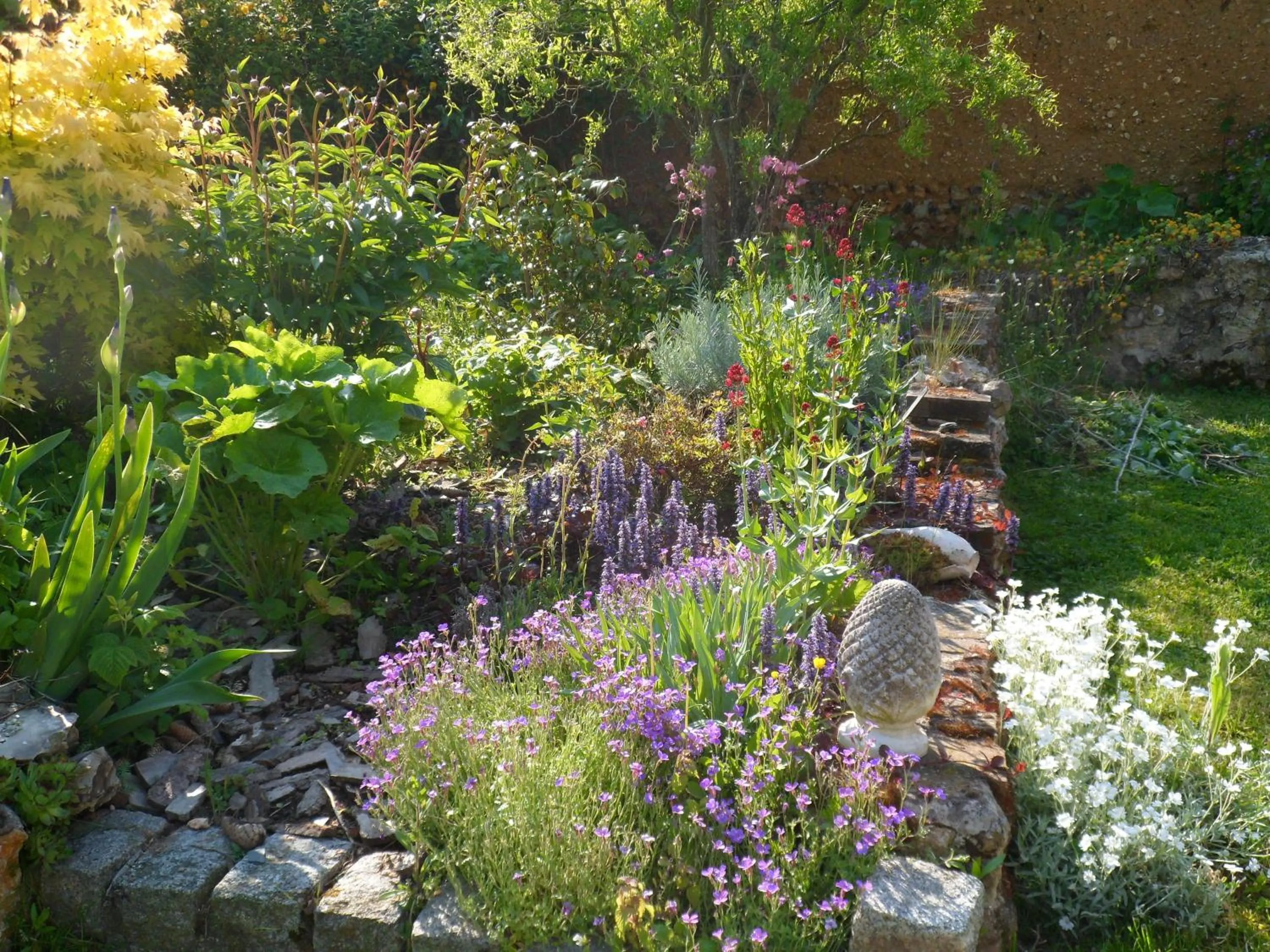 Garden in Chambre d'hôtes - Le jardin des Patissons