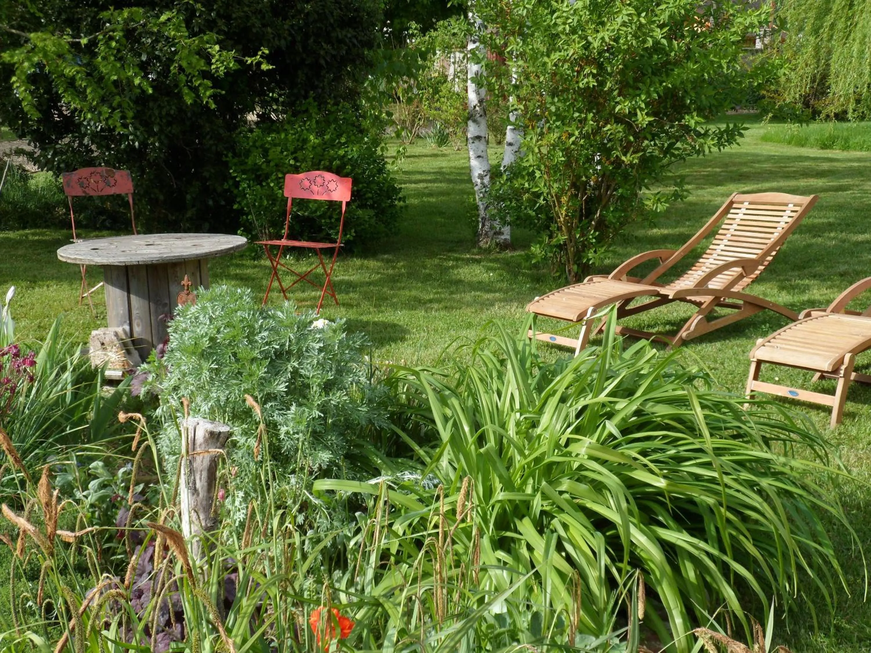 Garden in Chambre d'hôtes - Le jardin des Patissons