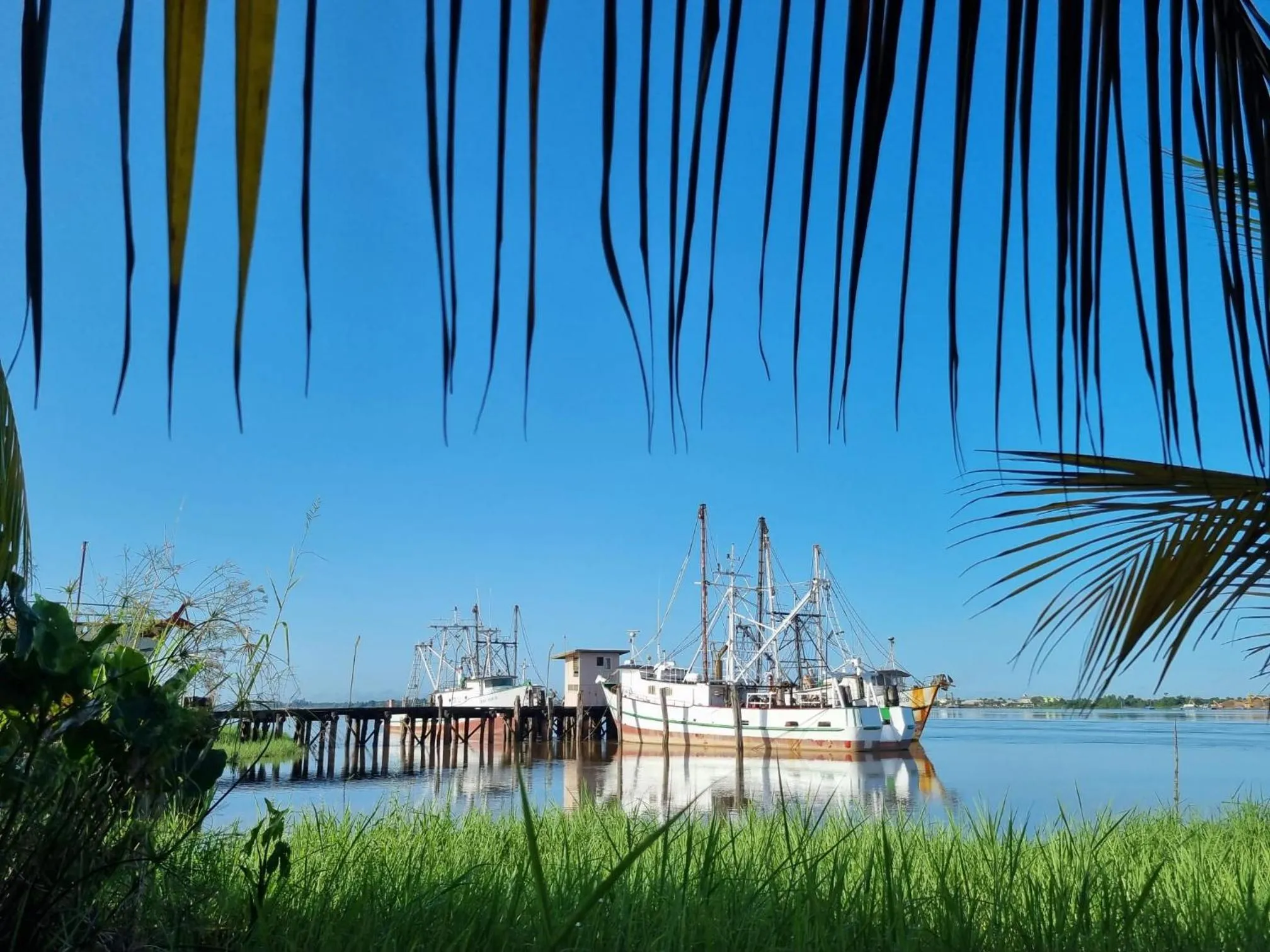 Natural landscape in Sutopia Holiday Resort