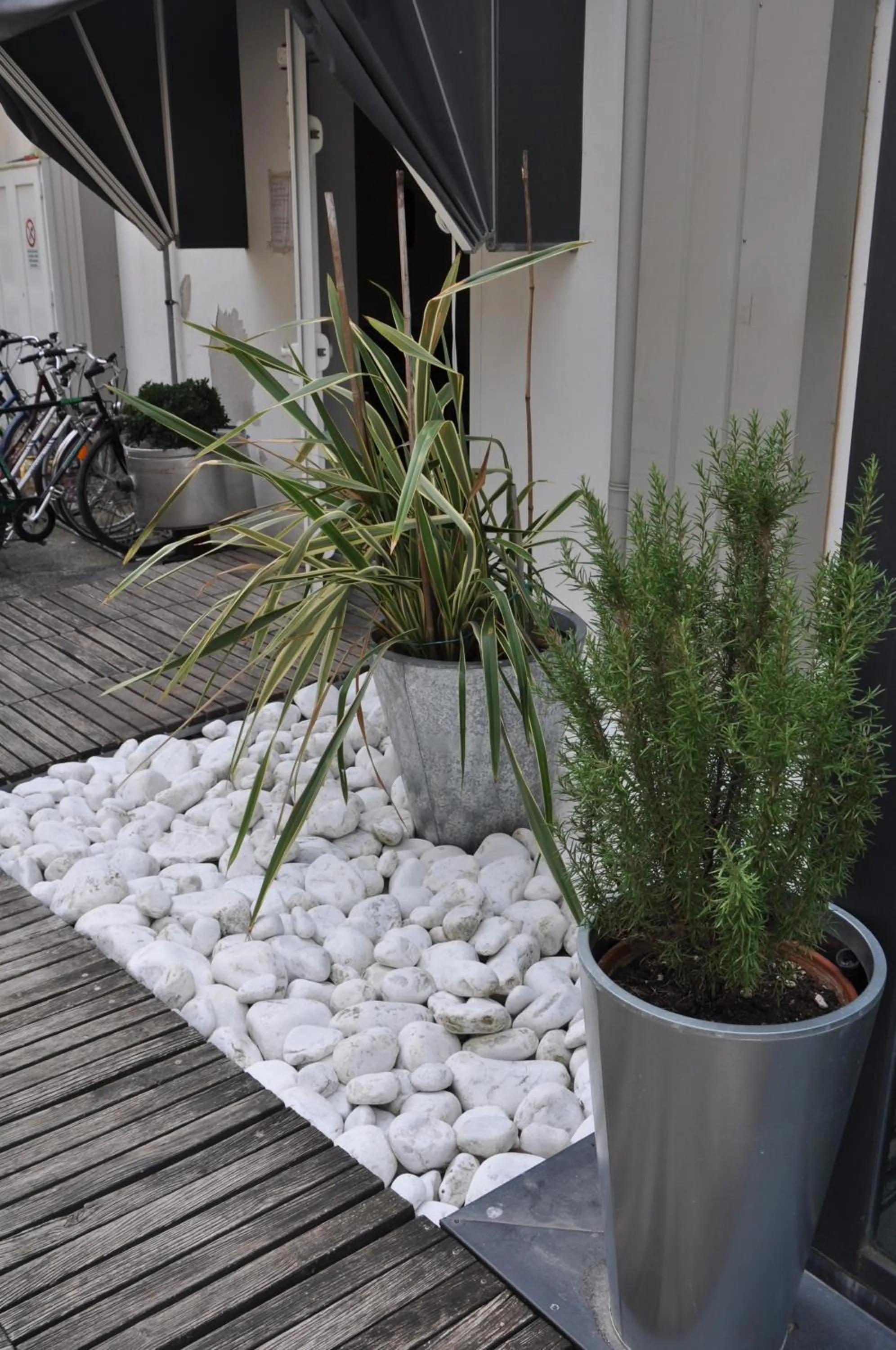 Hotel Garden