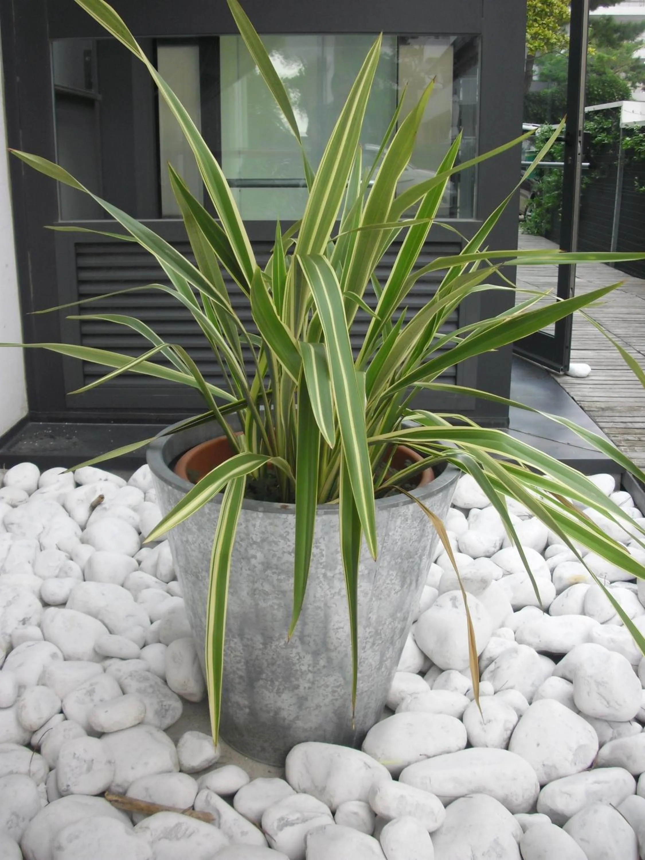 Decorative detail in Hotel Garden
