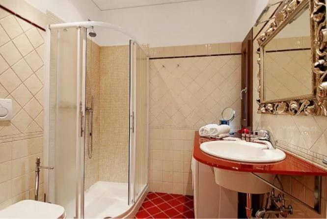 Shower in Salmaso Apartments