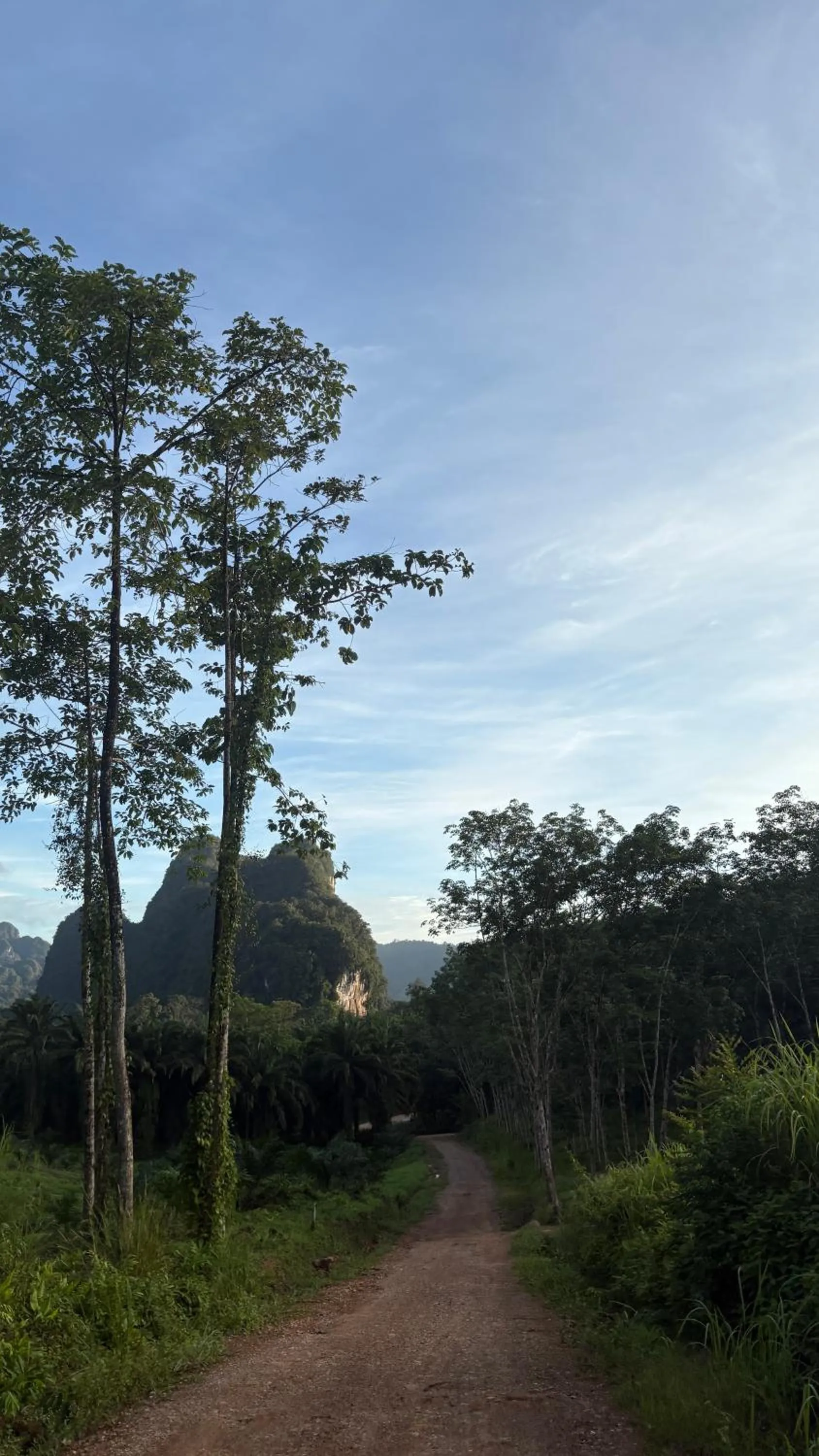 Khao Sok Hill Top Resort