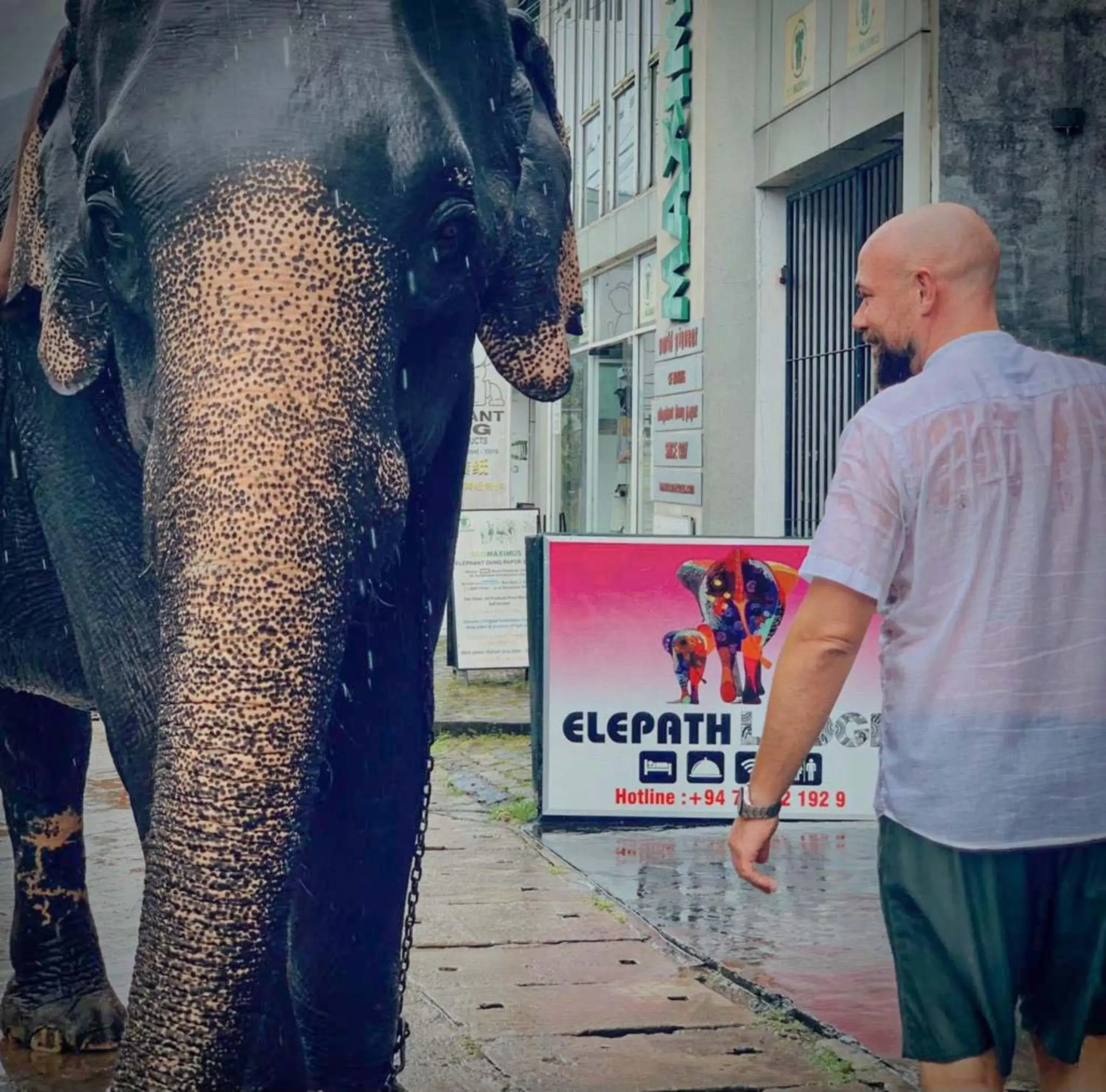 Elepath Lodge Pinnawala Elepath Lodge Pinnawala