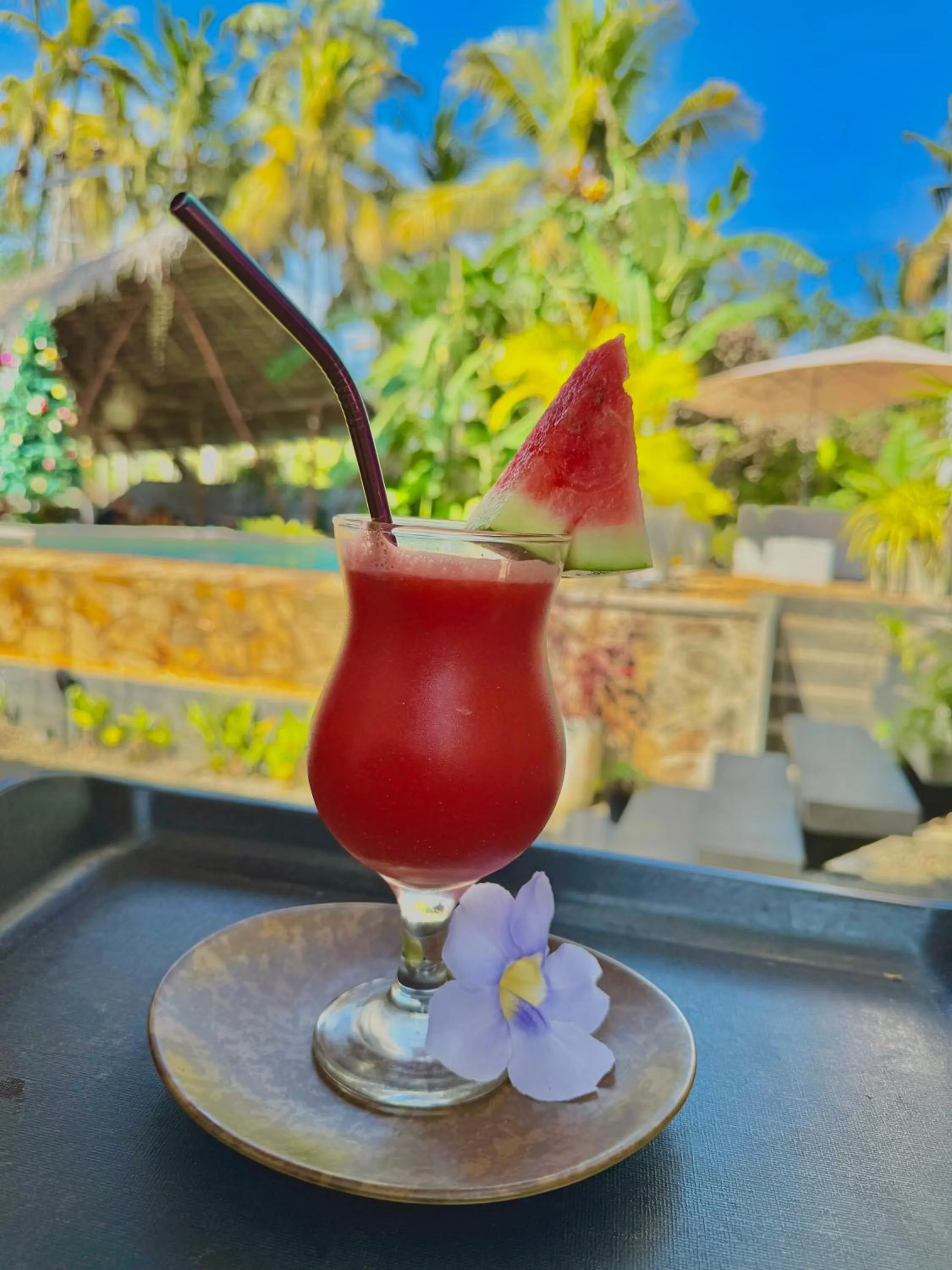 Drinks in The Jini House