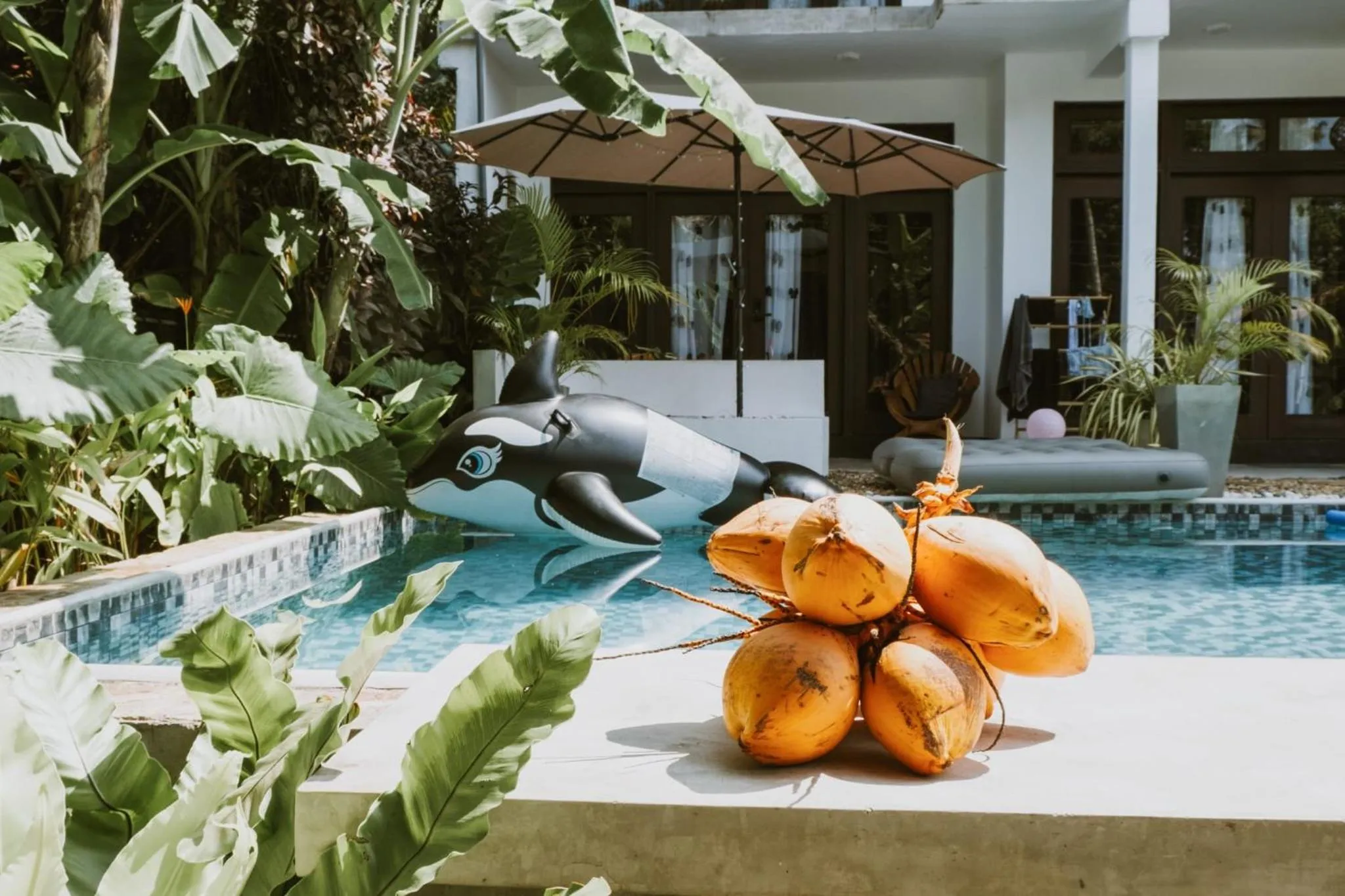 Swimming pool in The Jini House