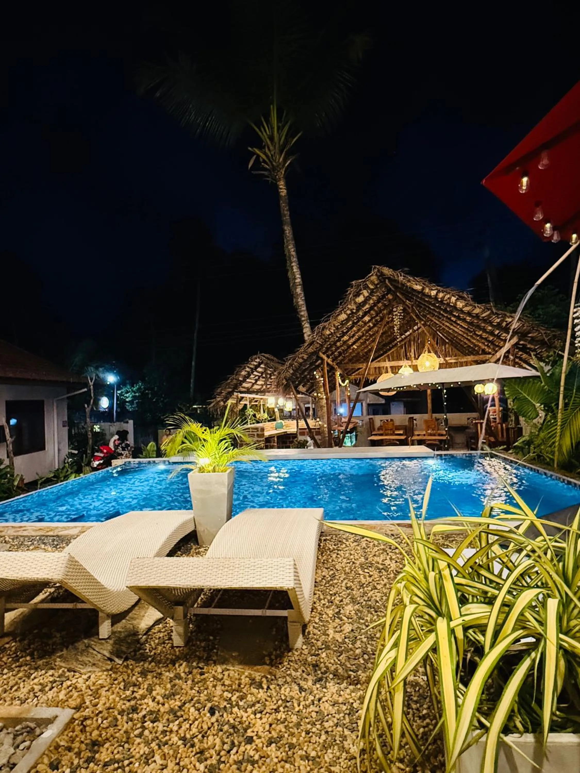 Pool view in The Jini House