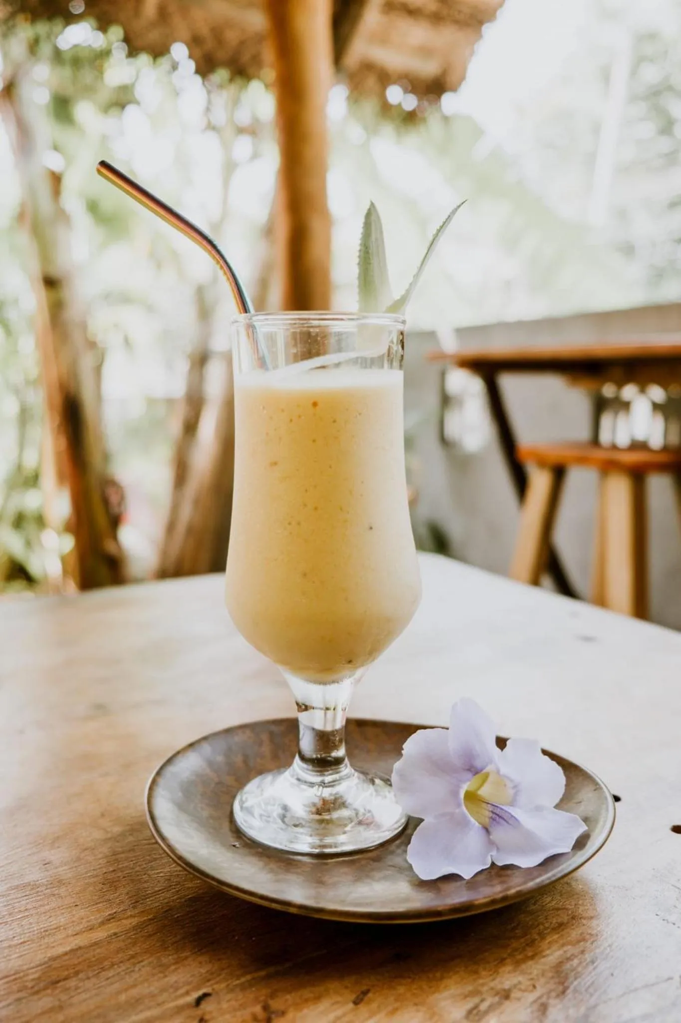 Drinks in The Jini House