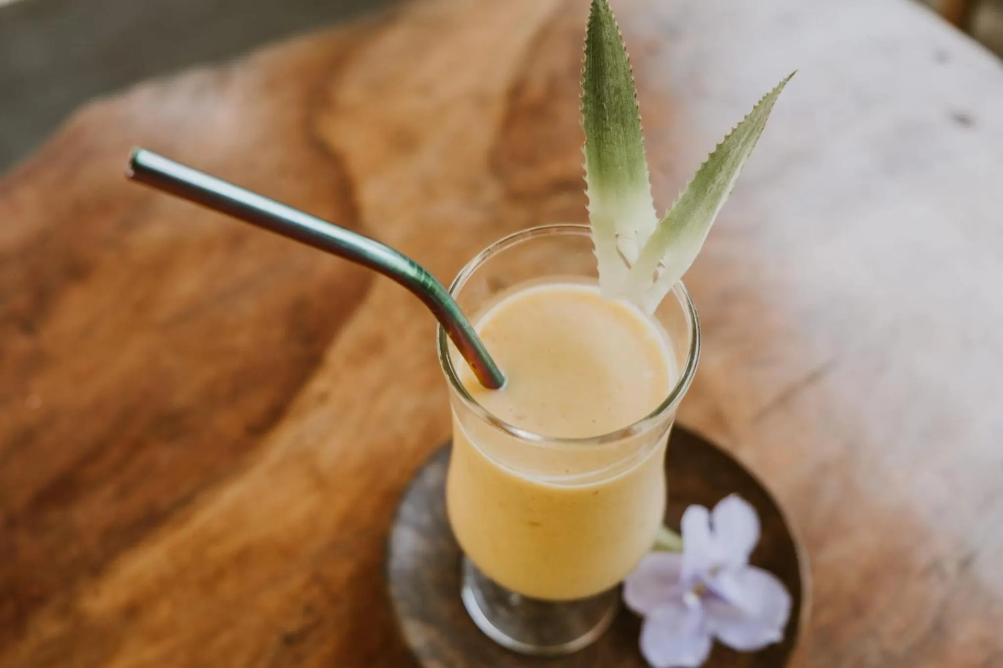 Drinks in The Jini House