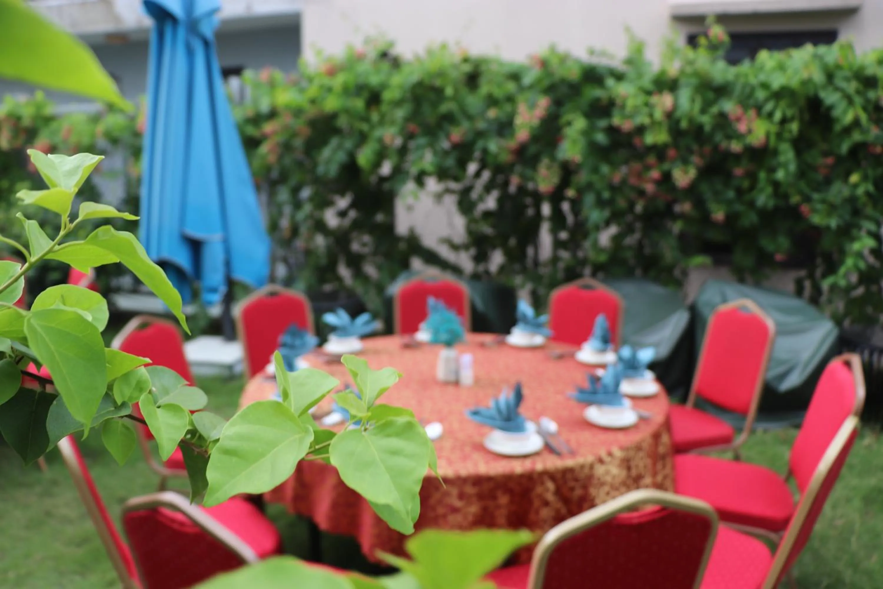 Garden in Hoi An Delicacy Hotel & Spa