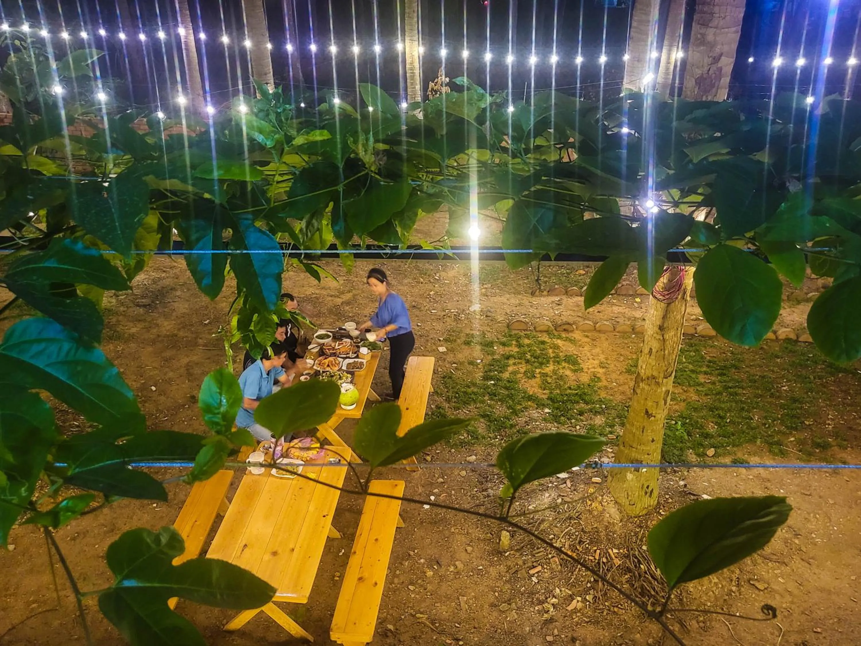 Garden in BB Hotel&Resort