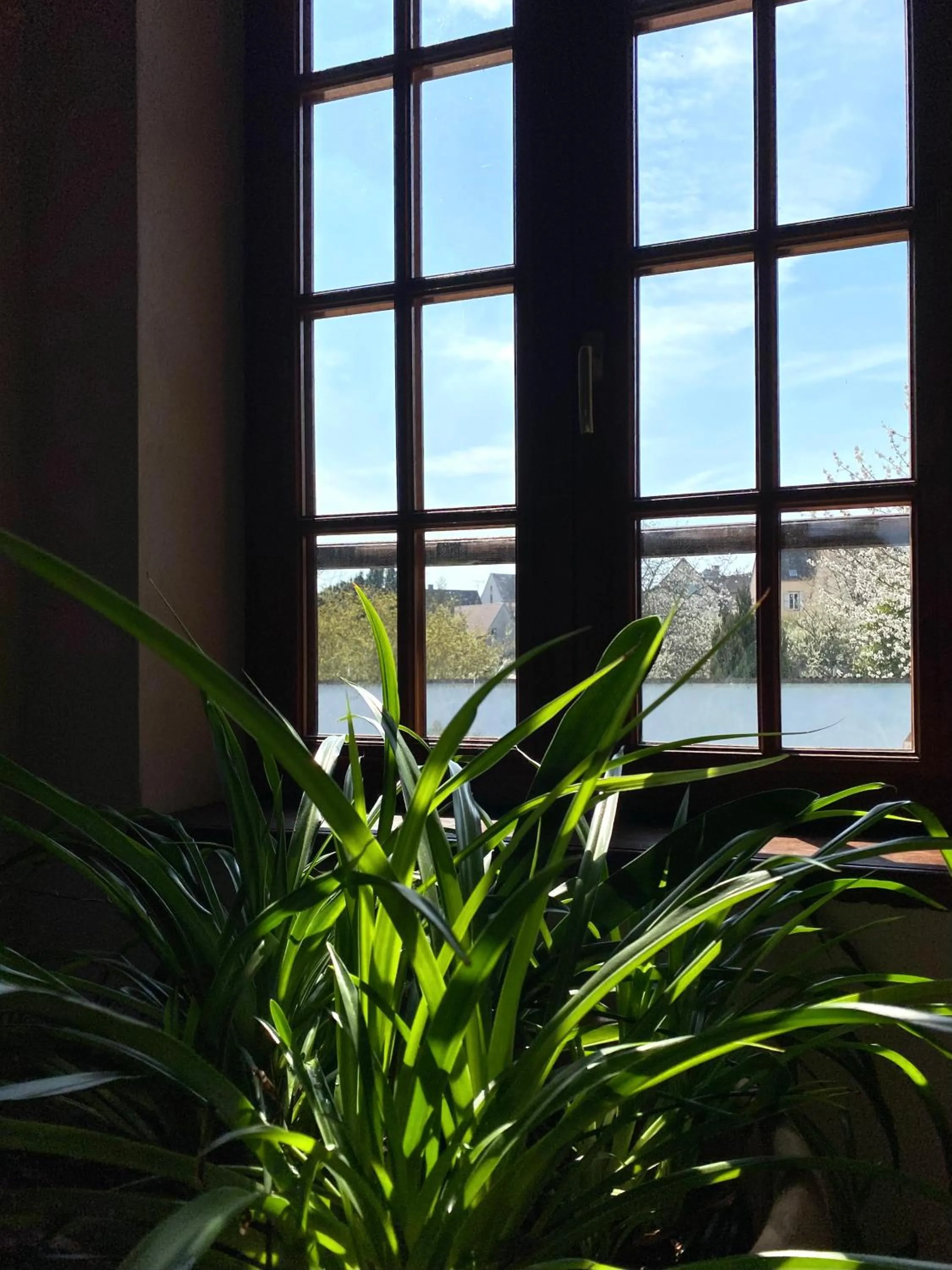 Day in Domaine du Cellier de la Couronne