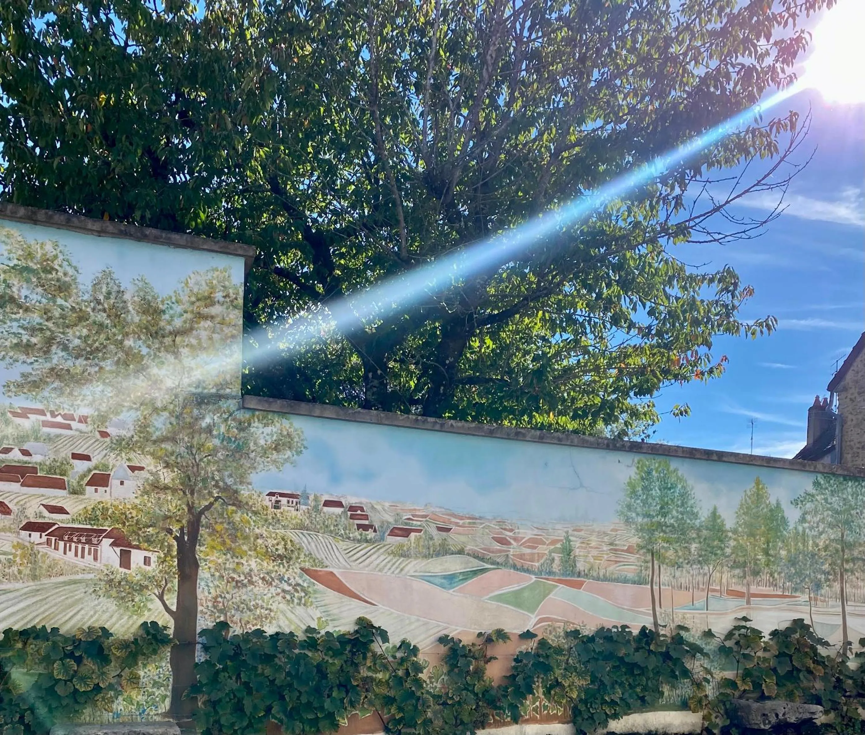 Day in Domaine du Cellier de la Couronne